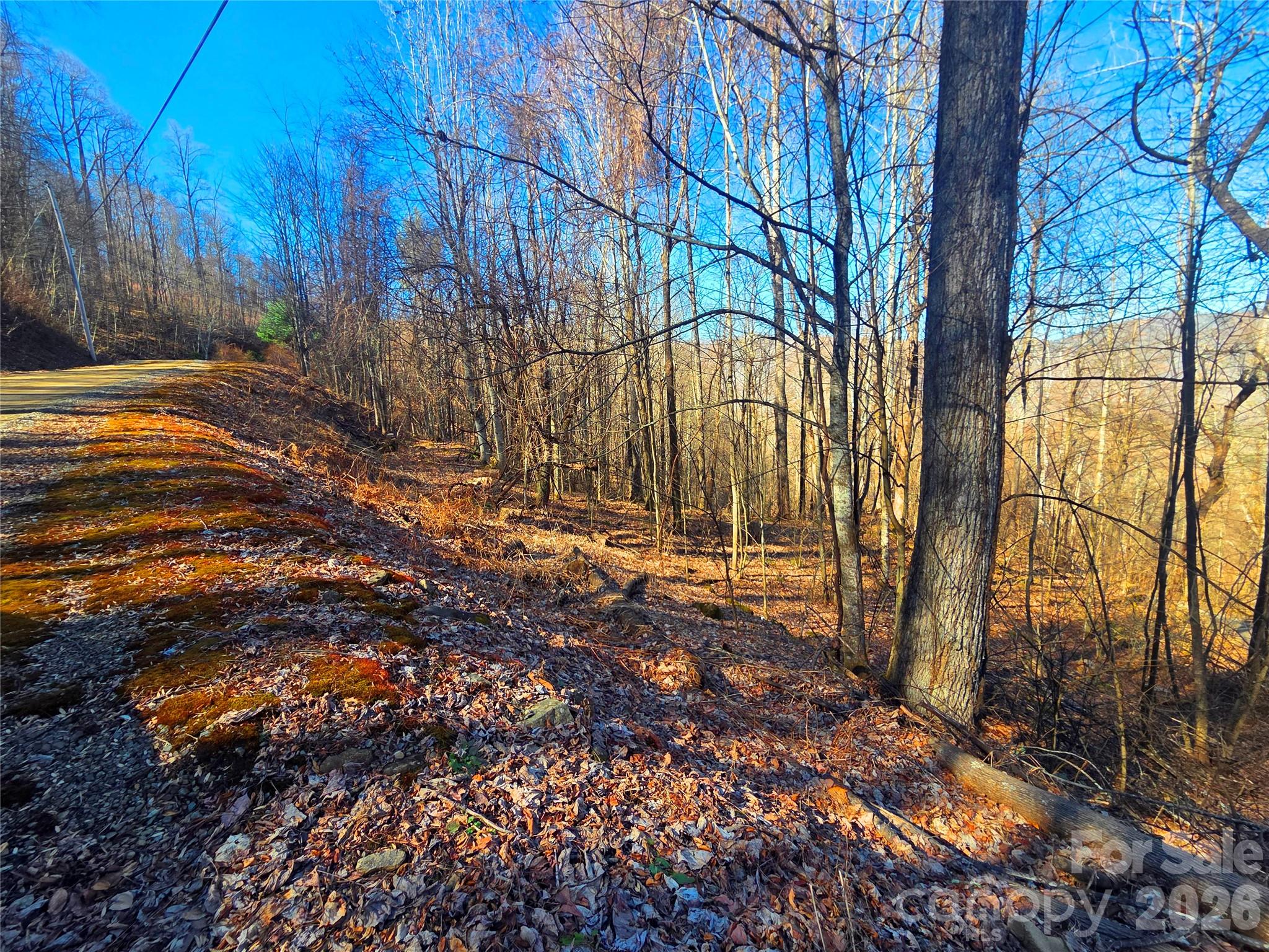 160 Slippery Rock Road 206 Property Photo 11