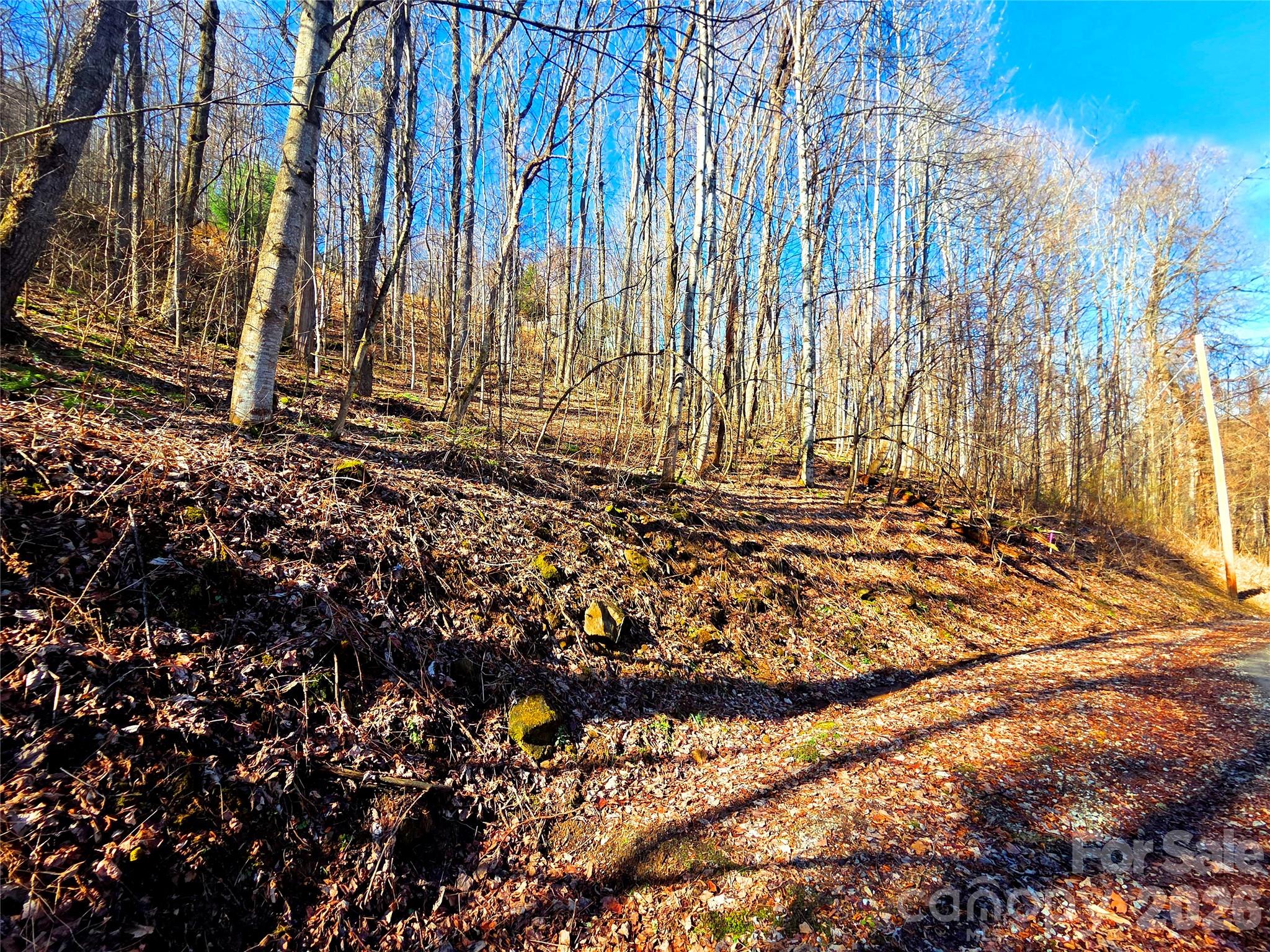 160 Slippery Rock Road 206 Property Photo 12