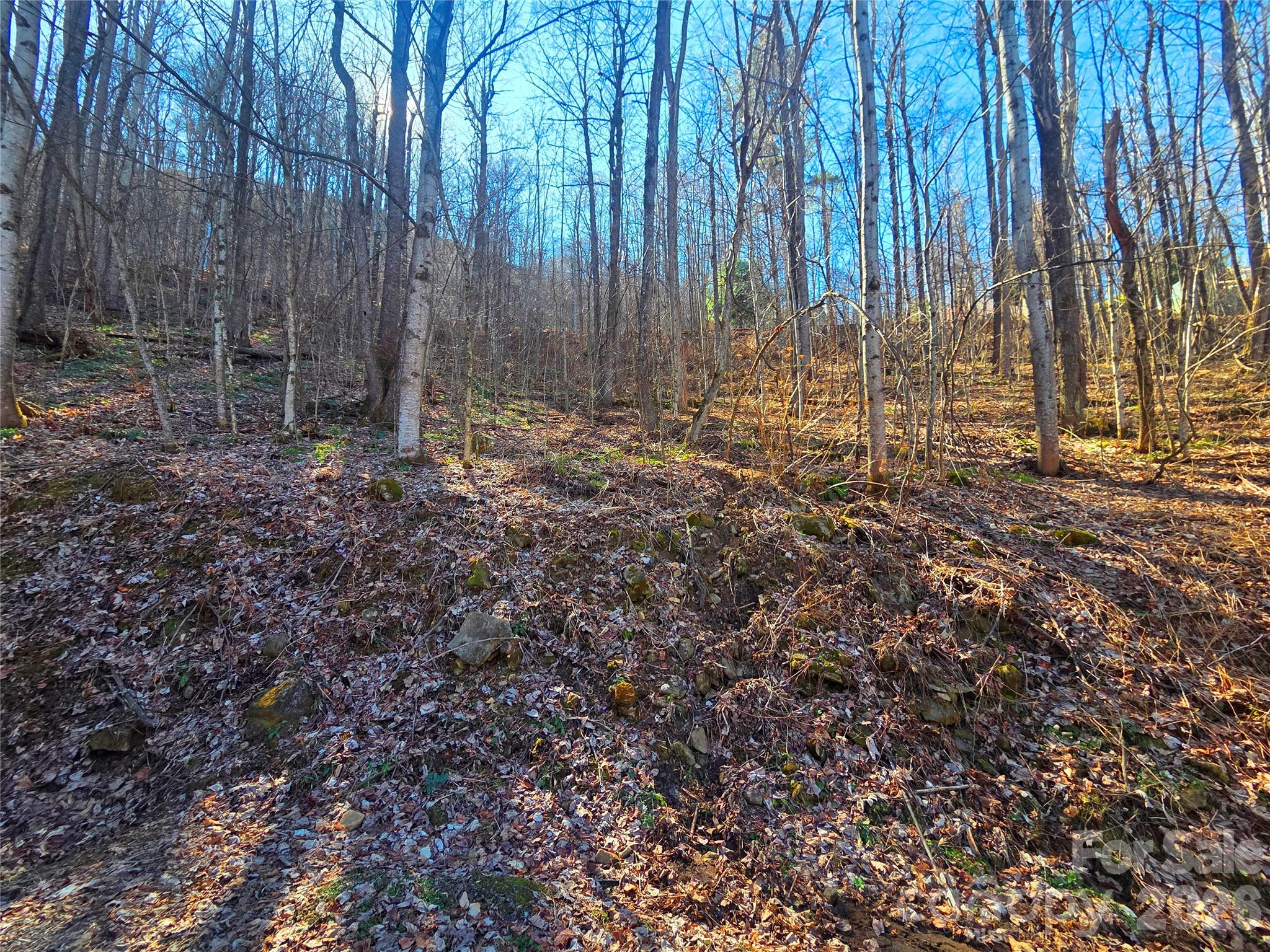 160 Slippery Rock Road 206 Property Photo 16