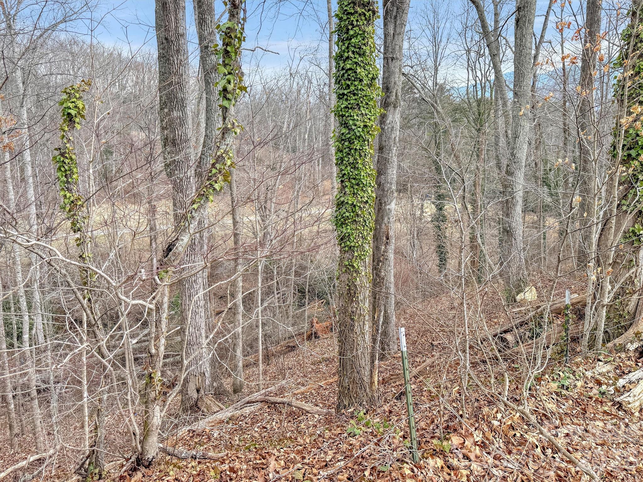 000 Cupp Lane Property Photo 8