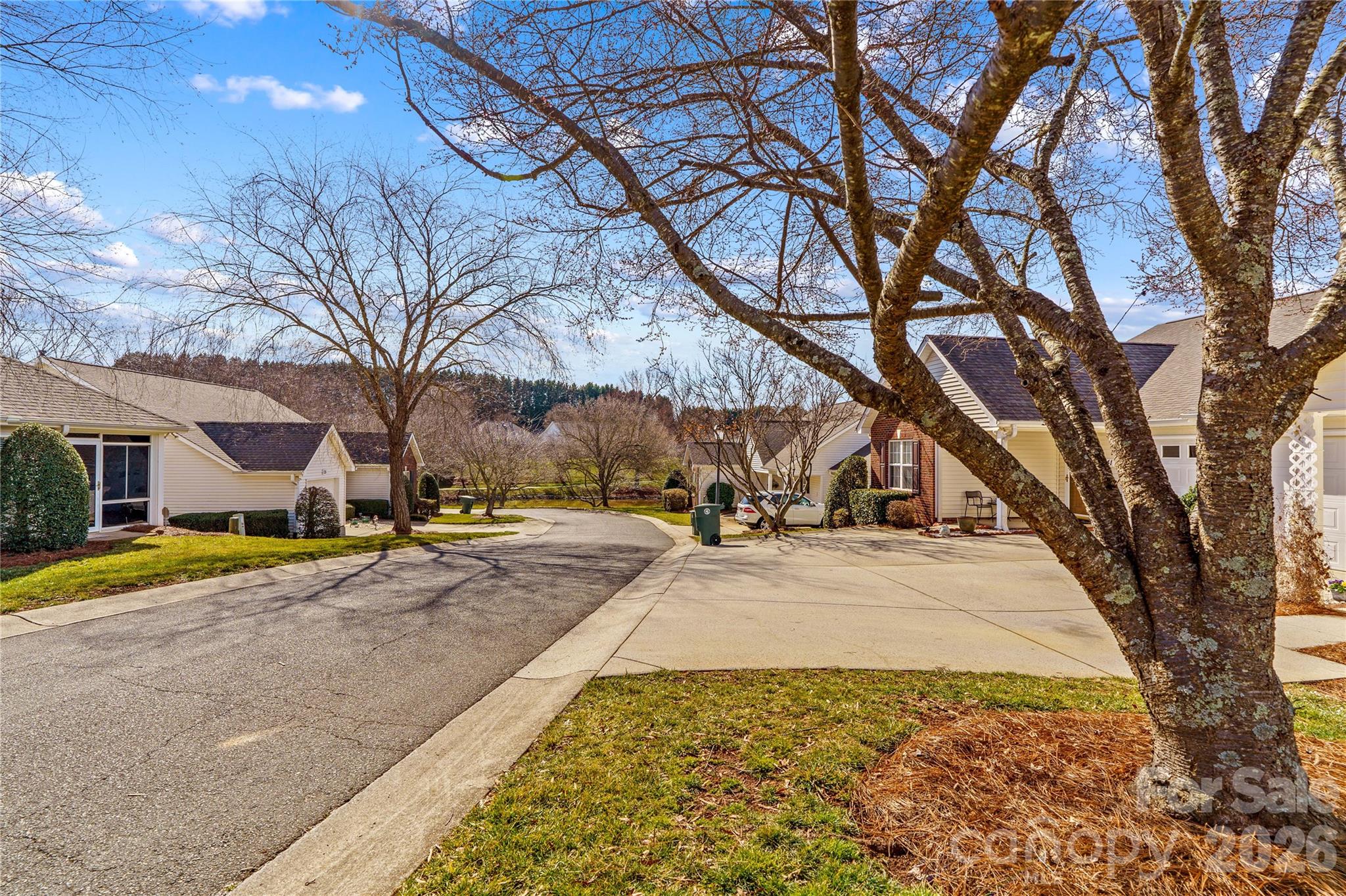 143 Ashwood Lane Property Photo 33