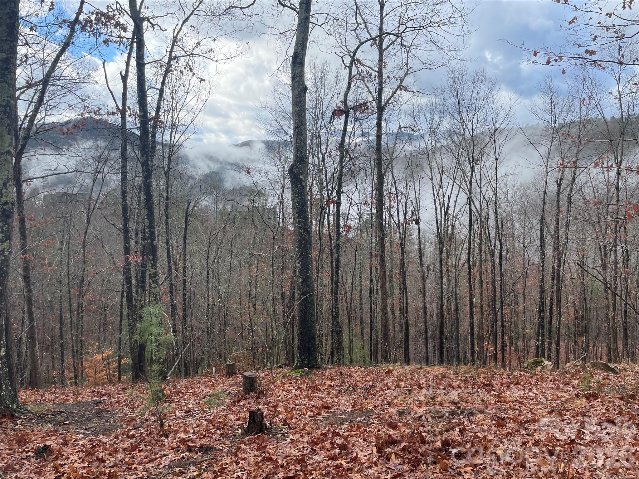 75 Wild Turkey Loop 31 Property Photo 1