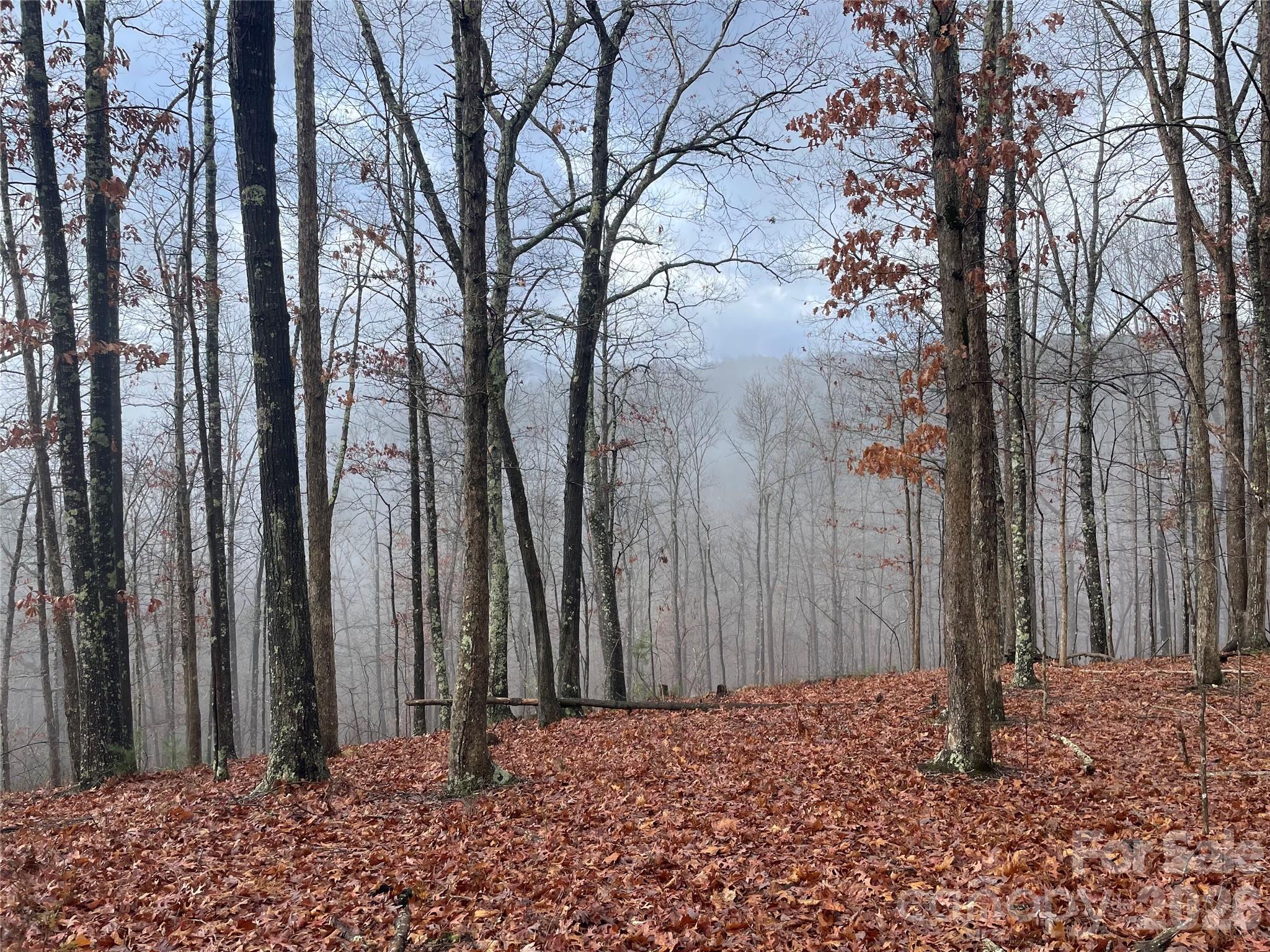75 Wild Turkey Loop 31 Property Photo 2