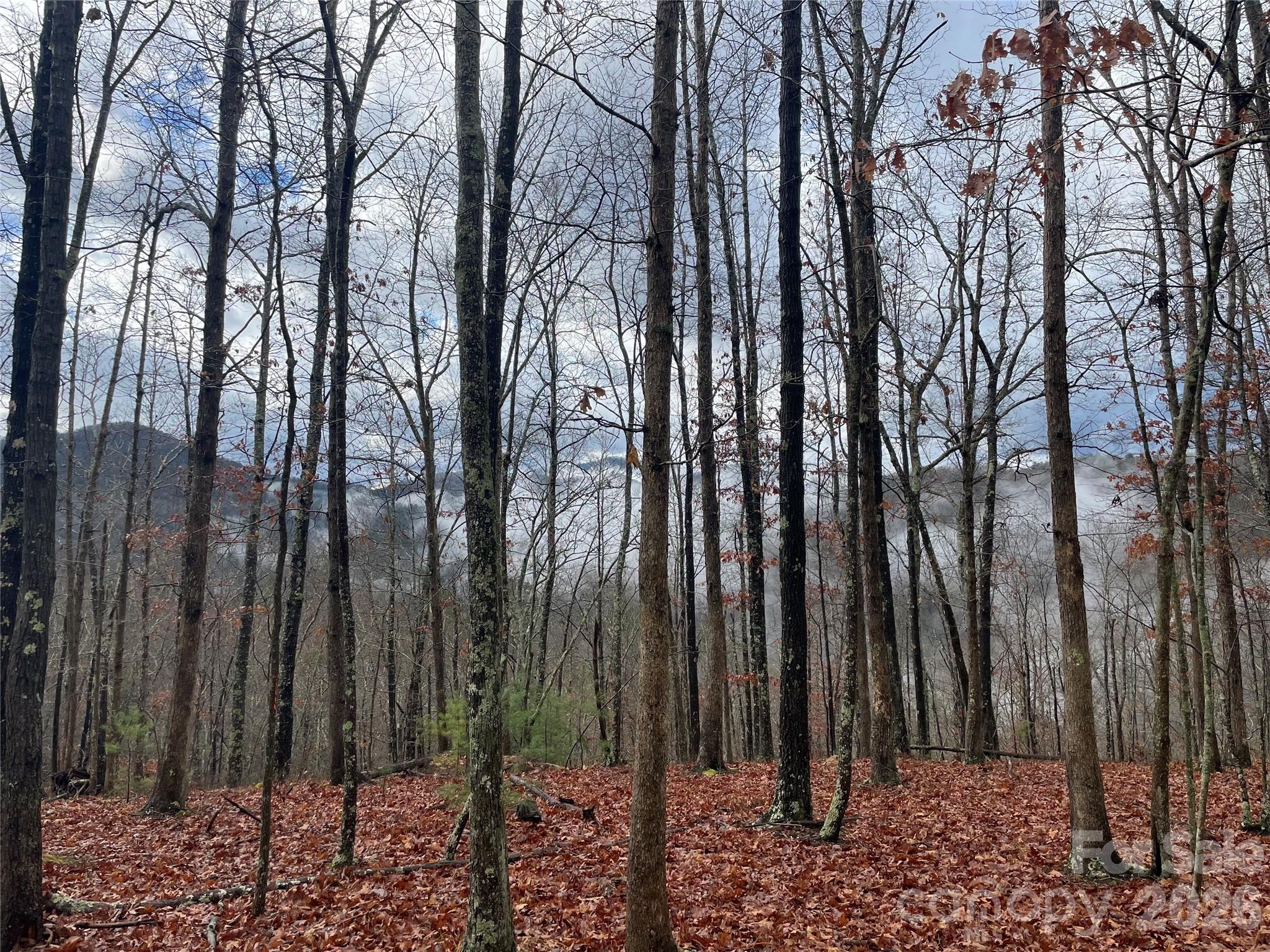 75 Wild Turkey Loop 31 Property Photo 3