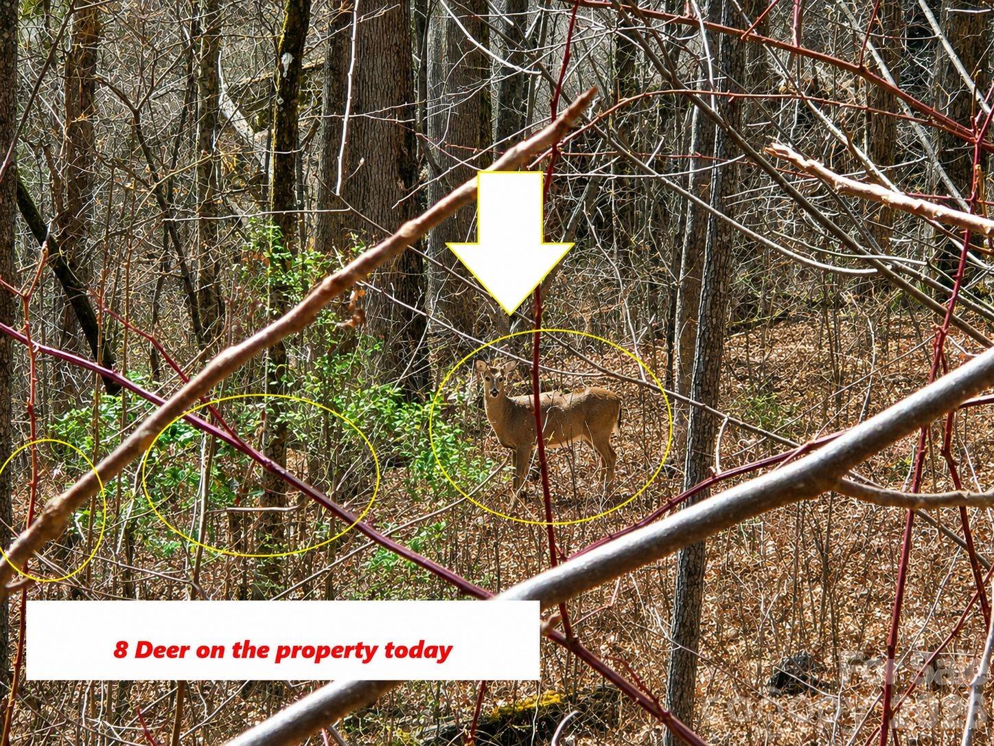 900 Fern Trail 31 Property Photo 2
