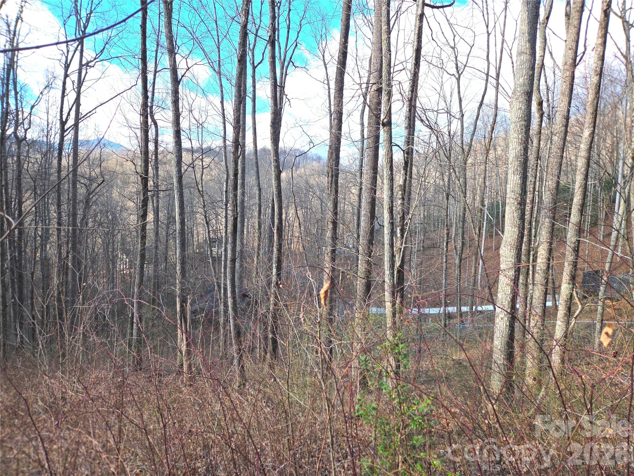 900 Fern Trail 31 Property Photo 15
