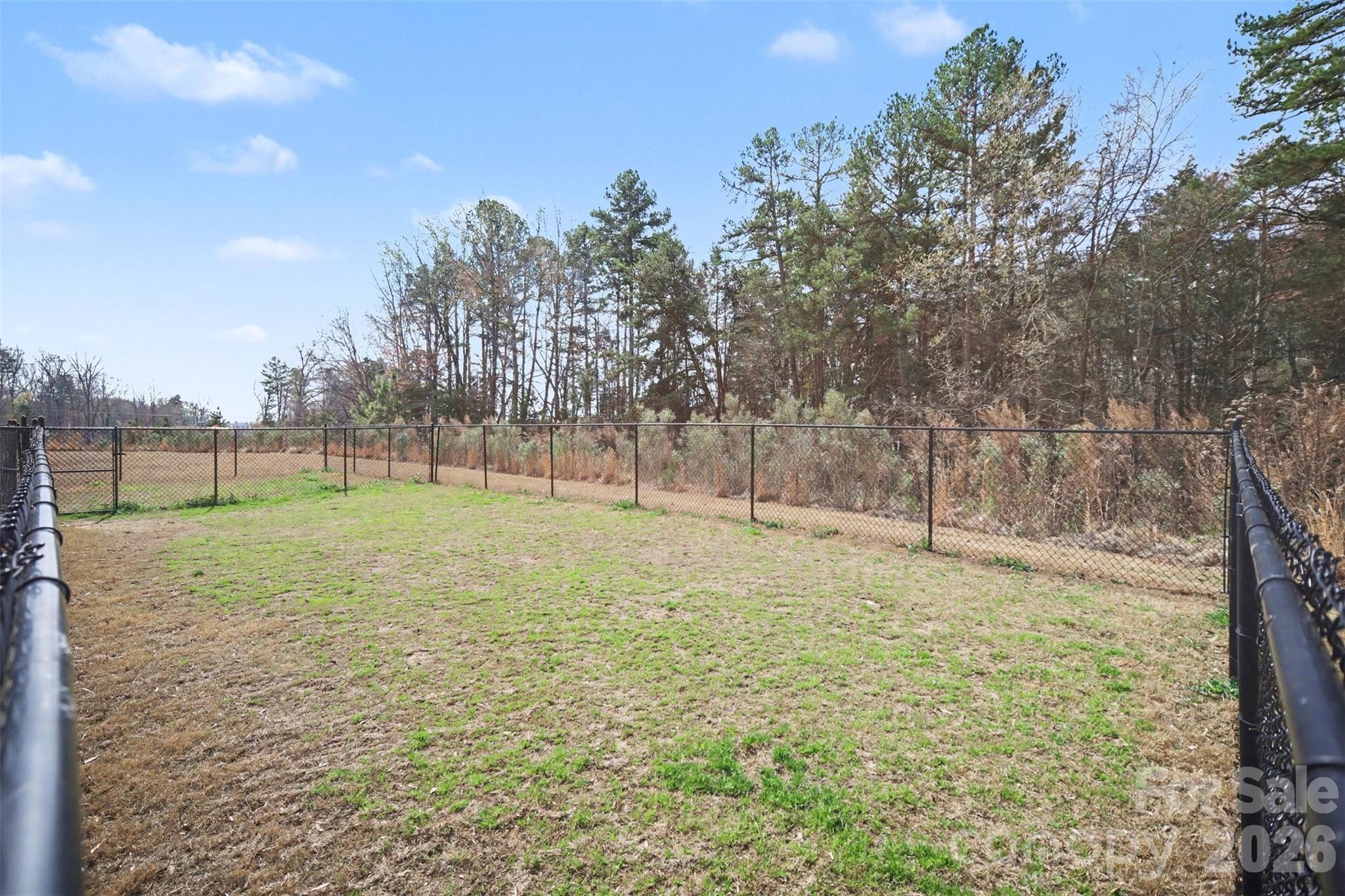 1211 May Apple Drive Property Photo 36