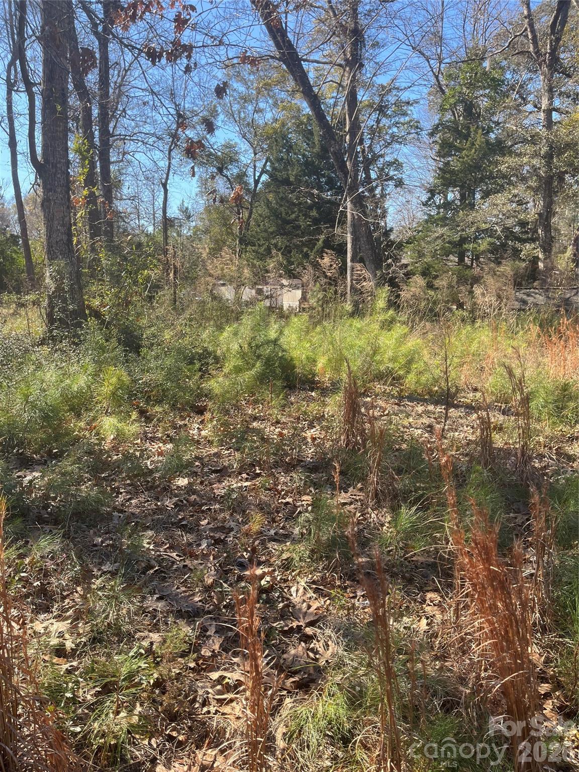 9161 Heritage Drive Property Photo 4
