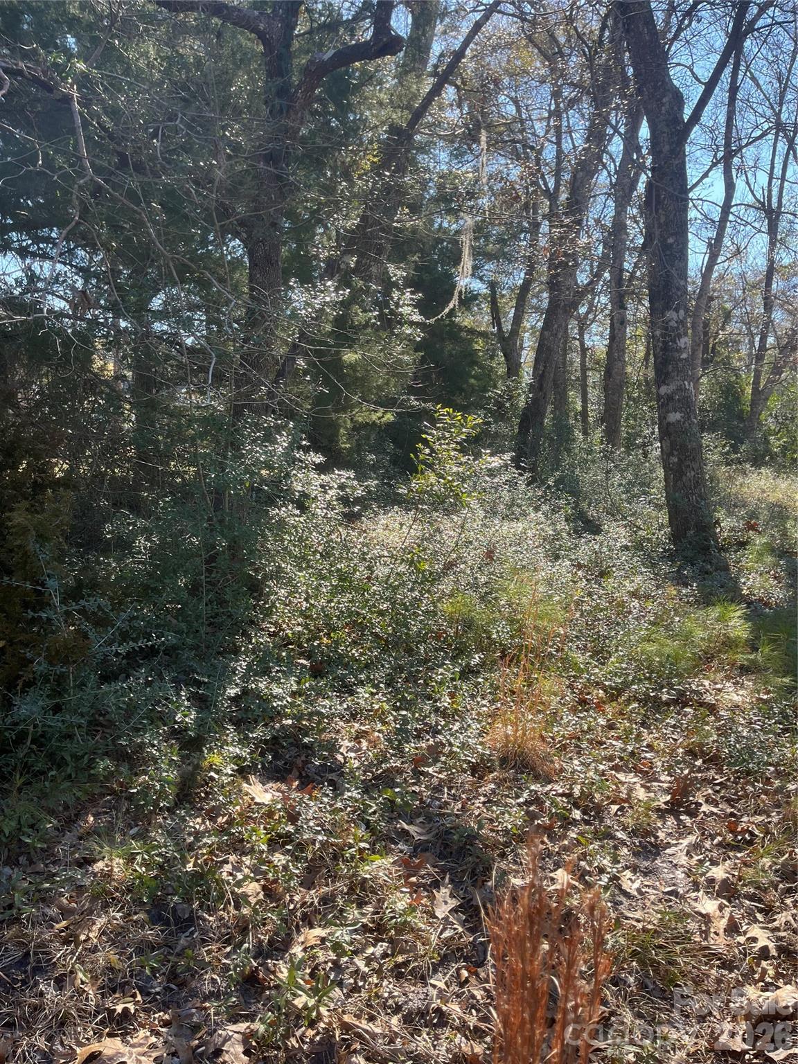 9161 Heritage Drive Property Photo 5