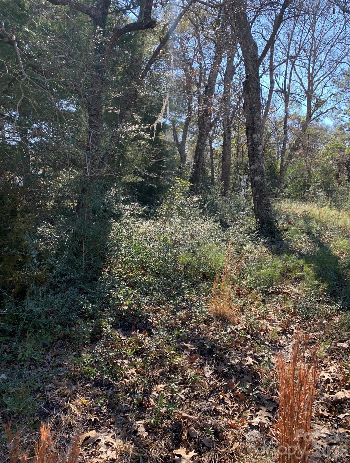 9161 Heritage Drive Property Photo 11