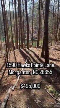 1590 Hawks Pointe Lane Property Photo 1