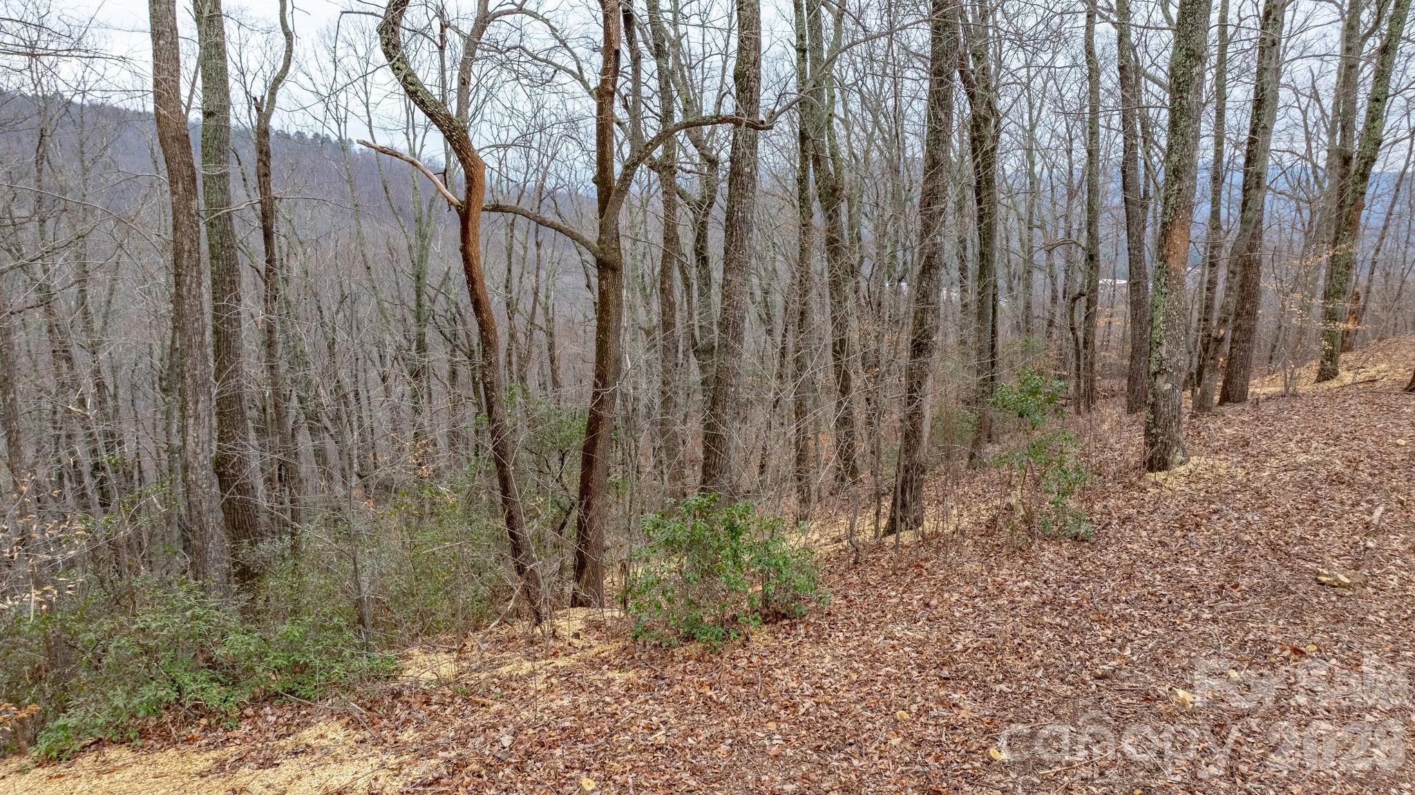 0 Mountain Crest Drive 40 Property Photo 10