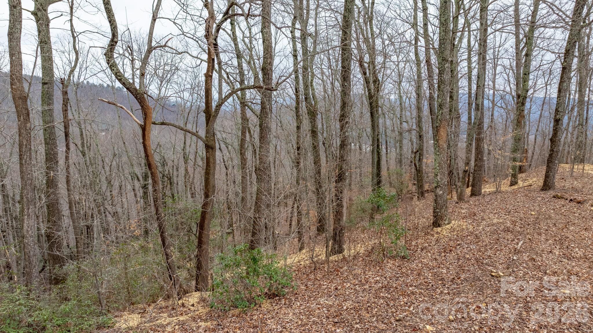 0 Mountain Crest Drive 40 Property Photo 11
