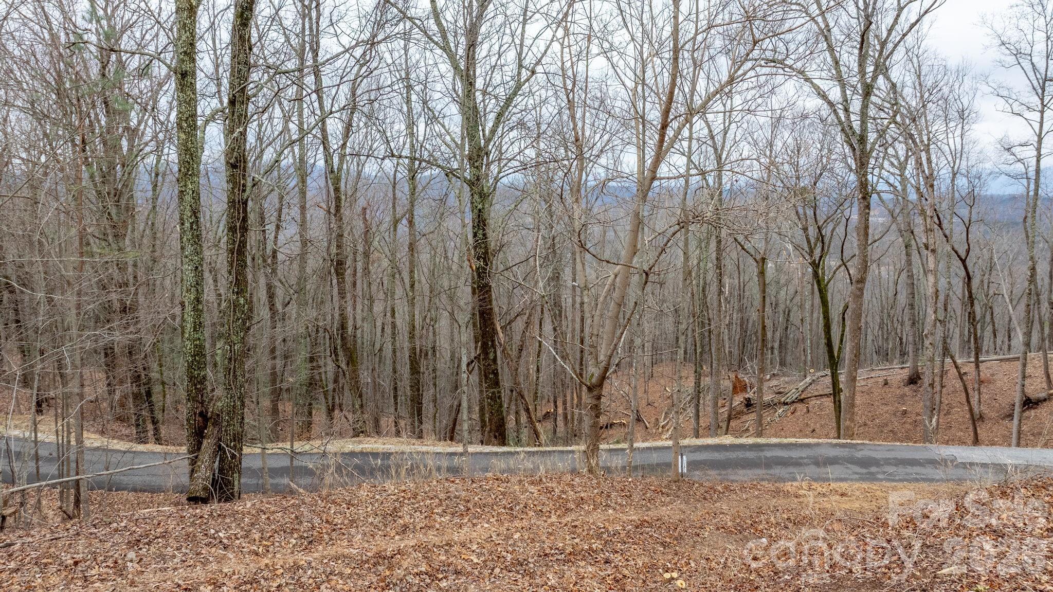 0 Mountain Crest Drive 40 Property Photo 12