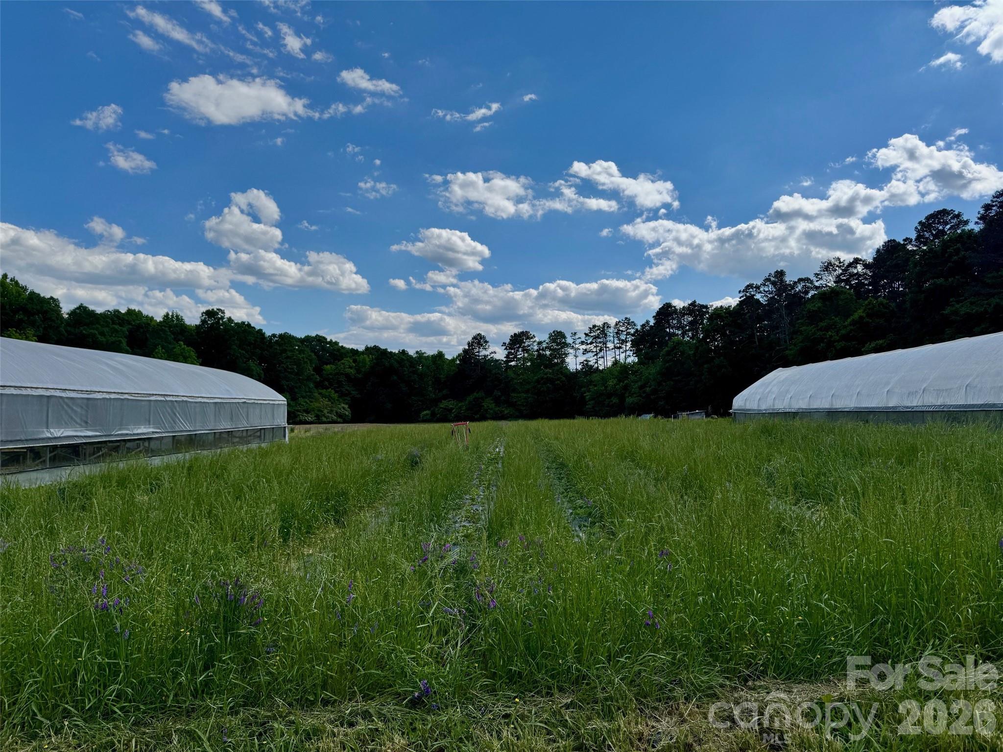 36299 Finger Road Property Photo 5