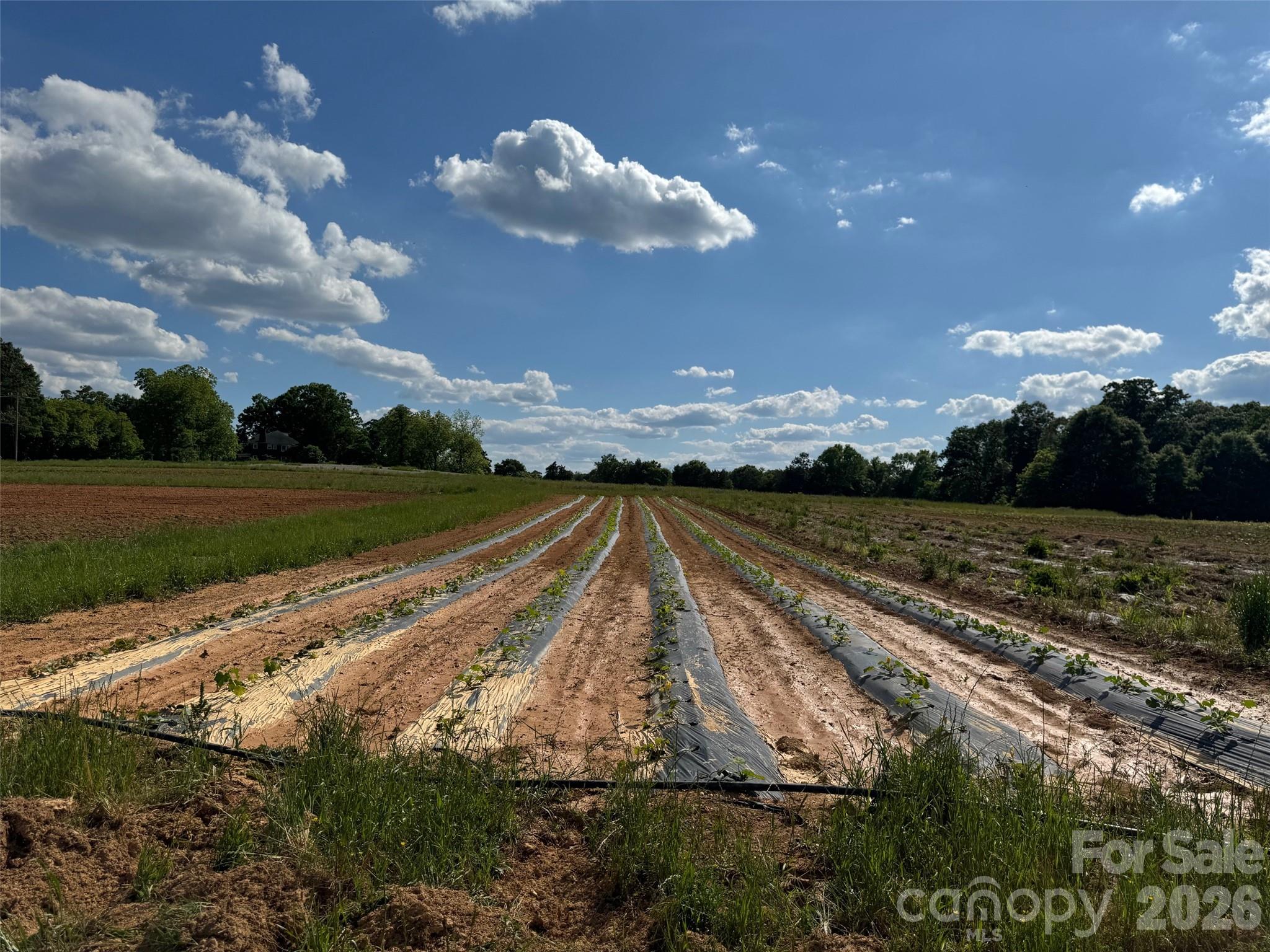 36299 Finger Road Property Photo 8