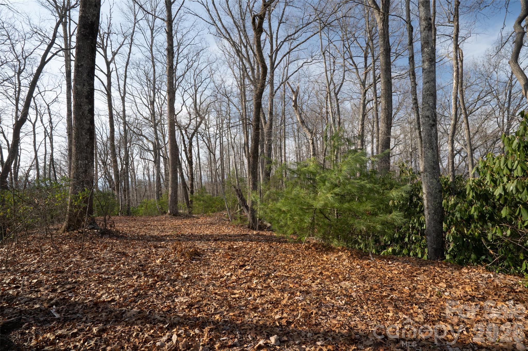 29 Open Ridge Trail Property Photo 1