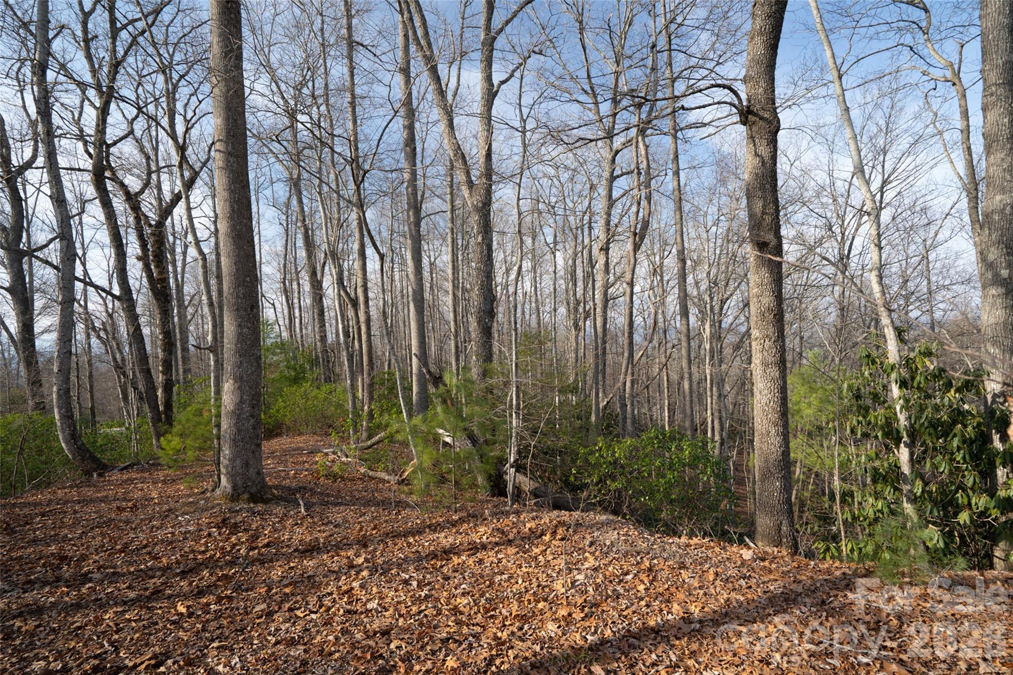 29 Open Ridge Trail Property Photo 2