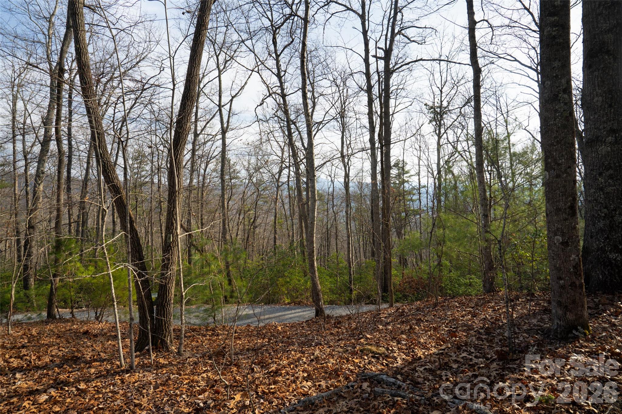 29 Open Ridge Trail Property Photo 3
