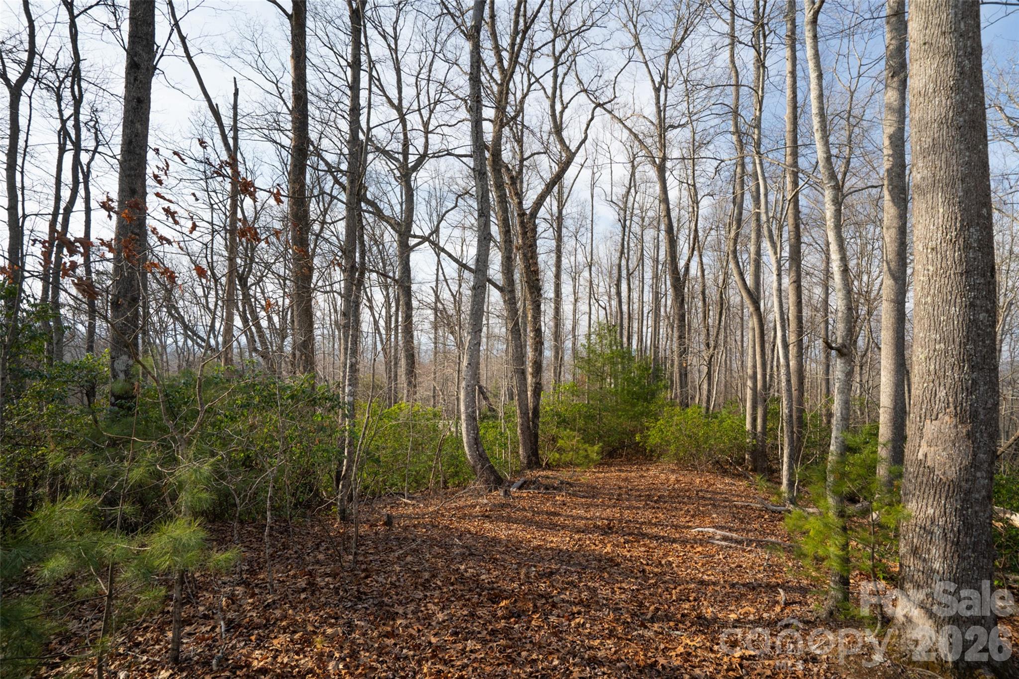 29 Open Ridge Trail Property Photo 4
