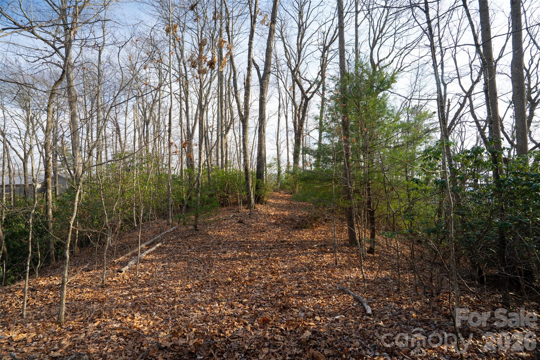 29 Open Ridge Trail Property Photo 5