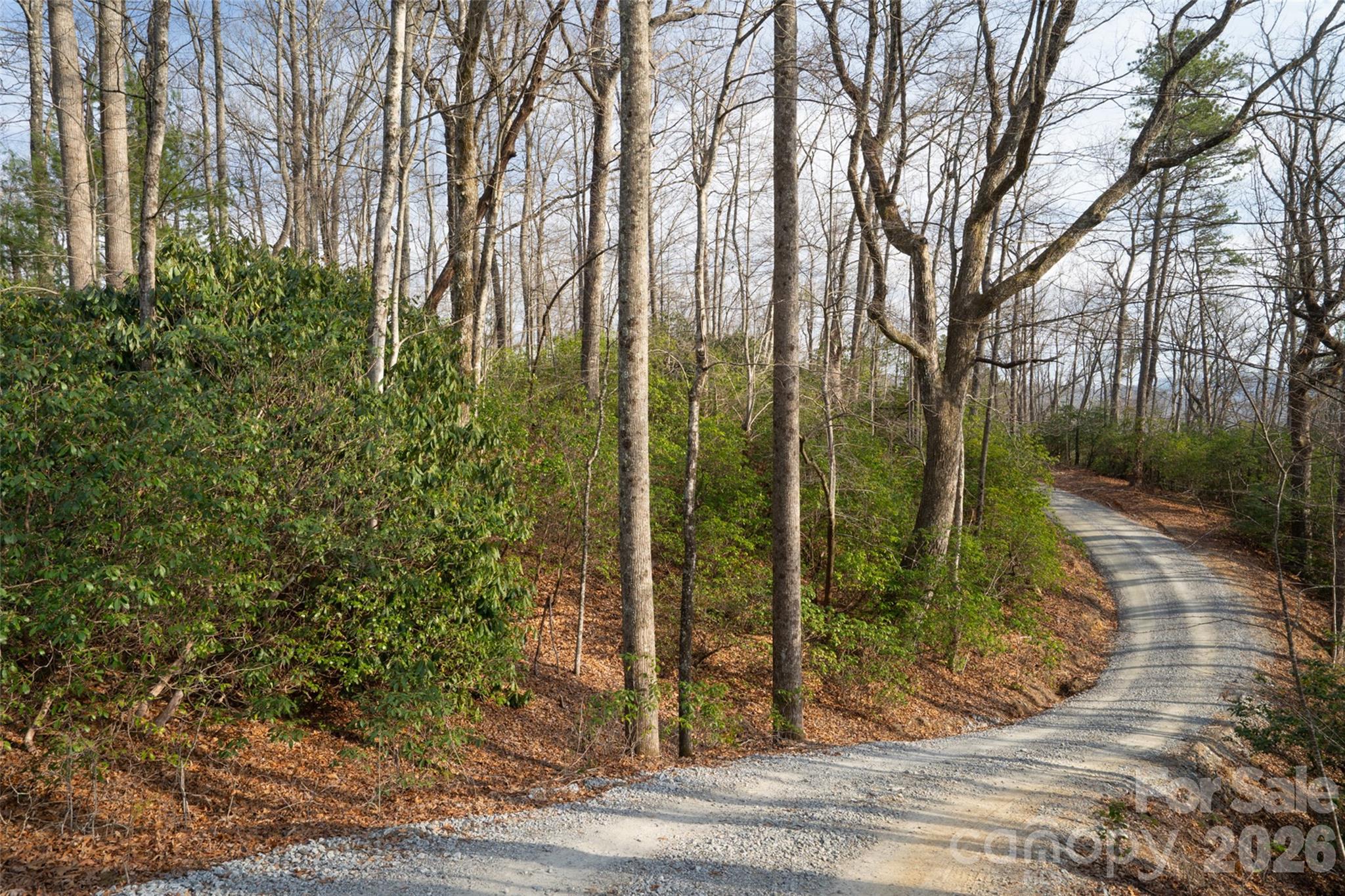 29 Open Ridge Trail Property Photo 6