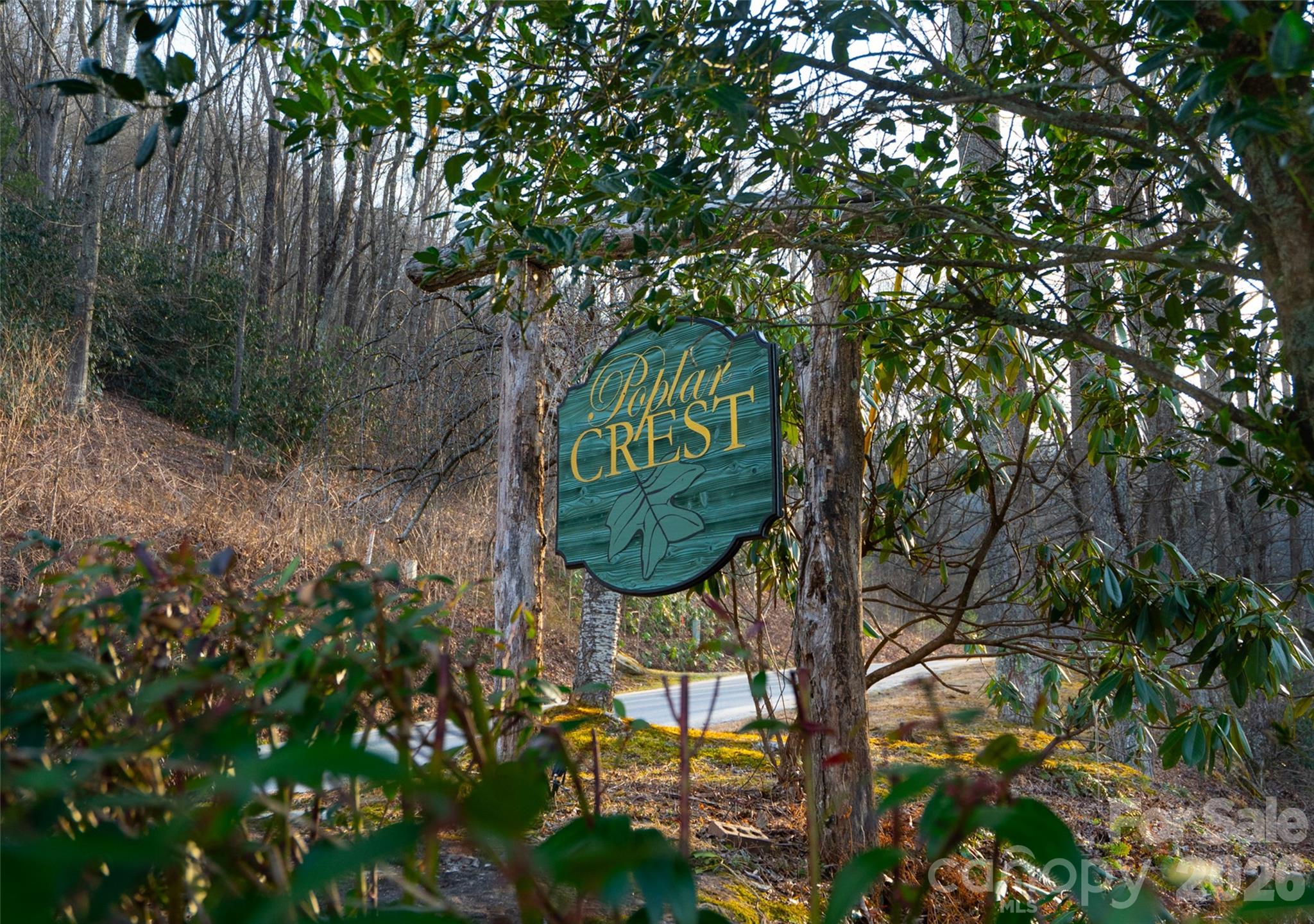 29 Open Ridge Trail Property Photo 8