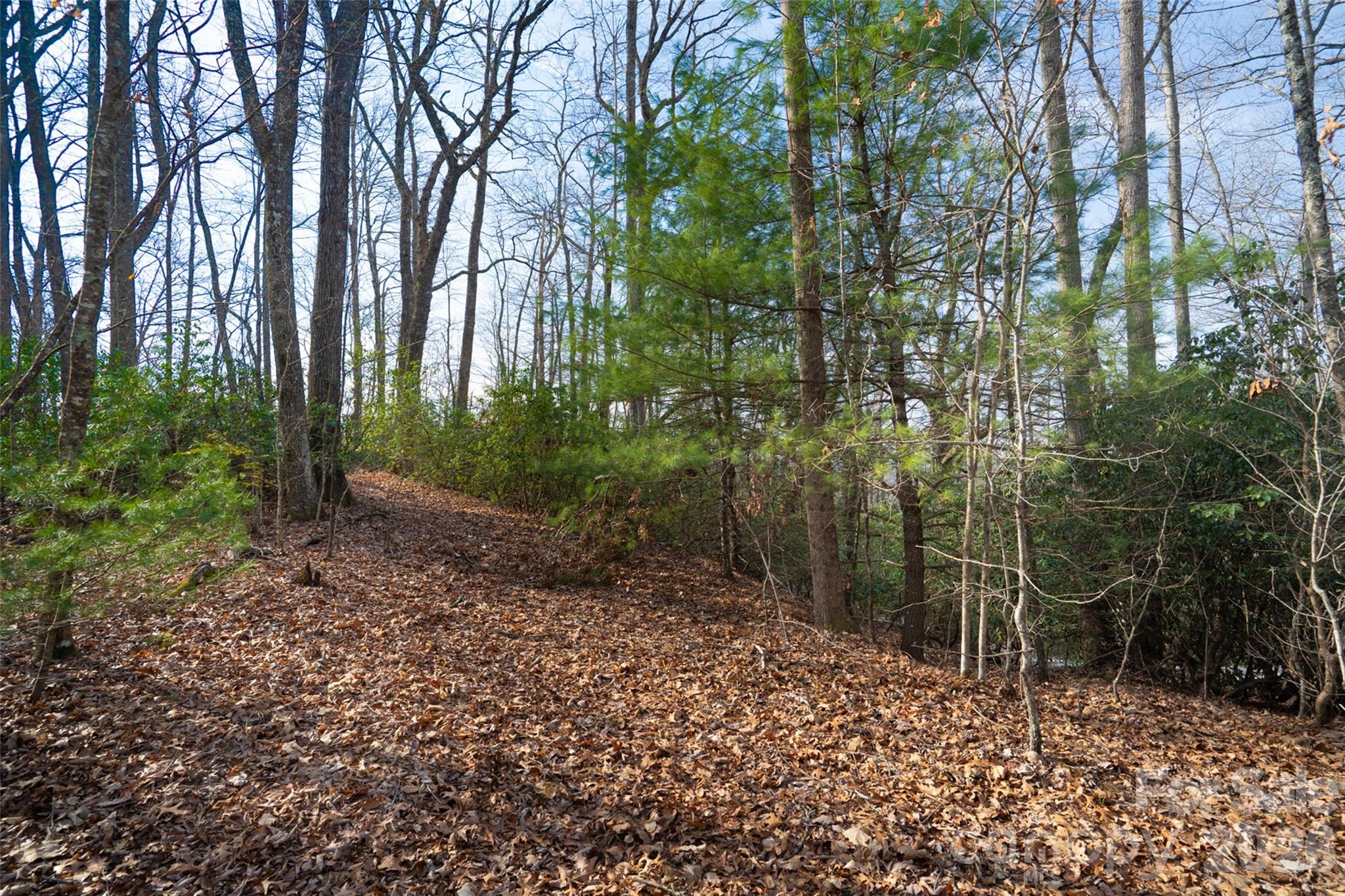 29 Open Ridge Trail Property Photo 9
