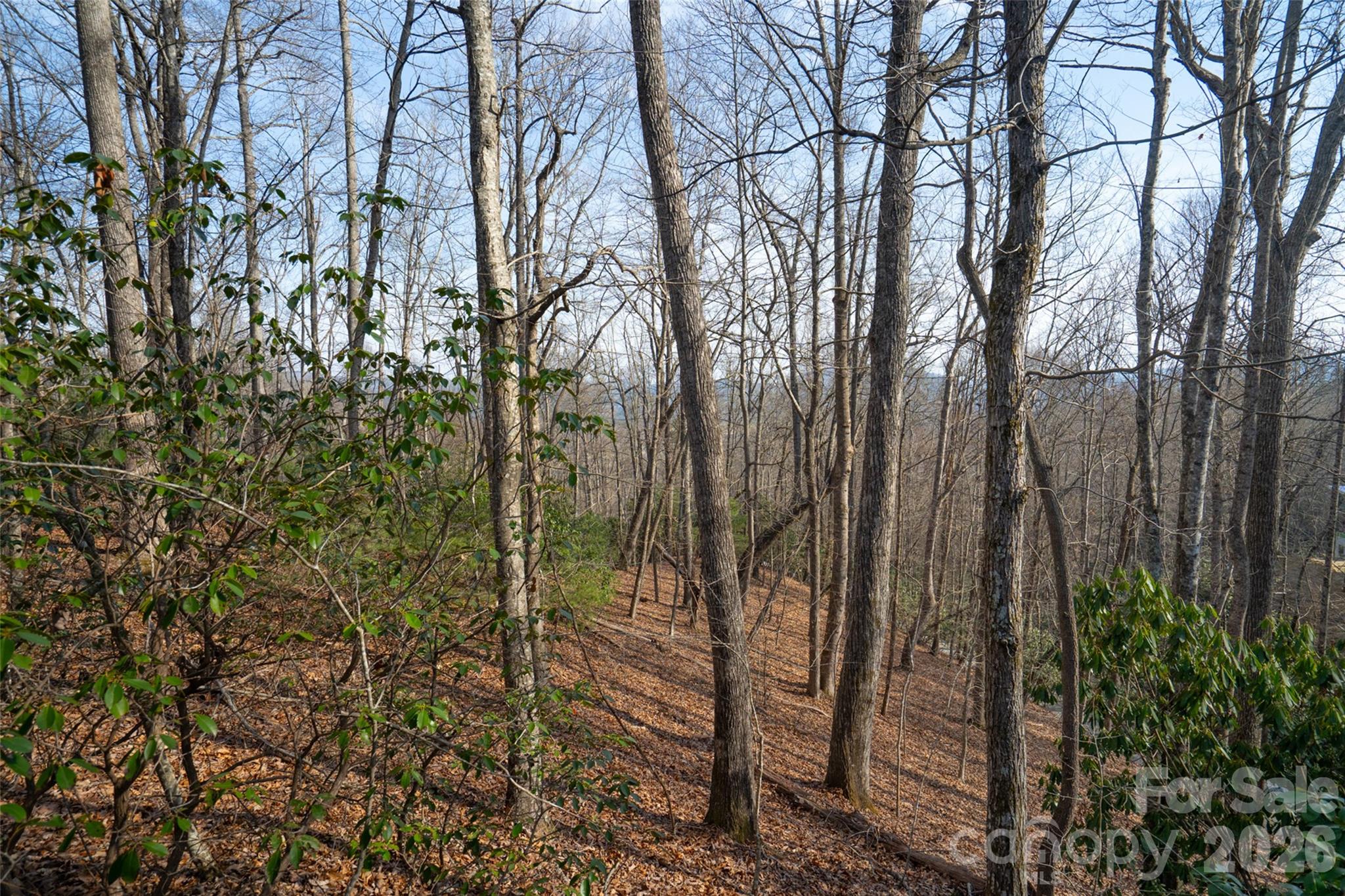 29 Open Ridge Trail Property Photo 10