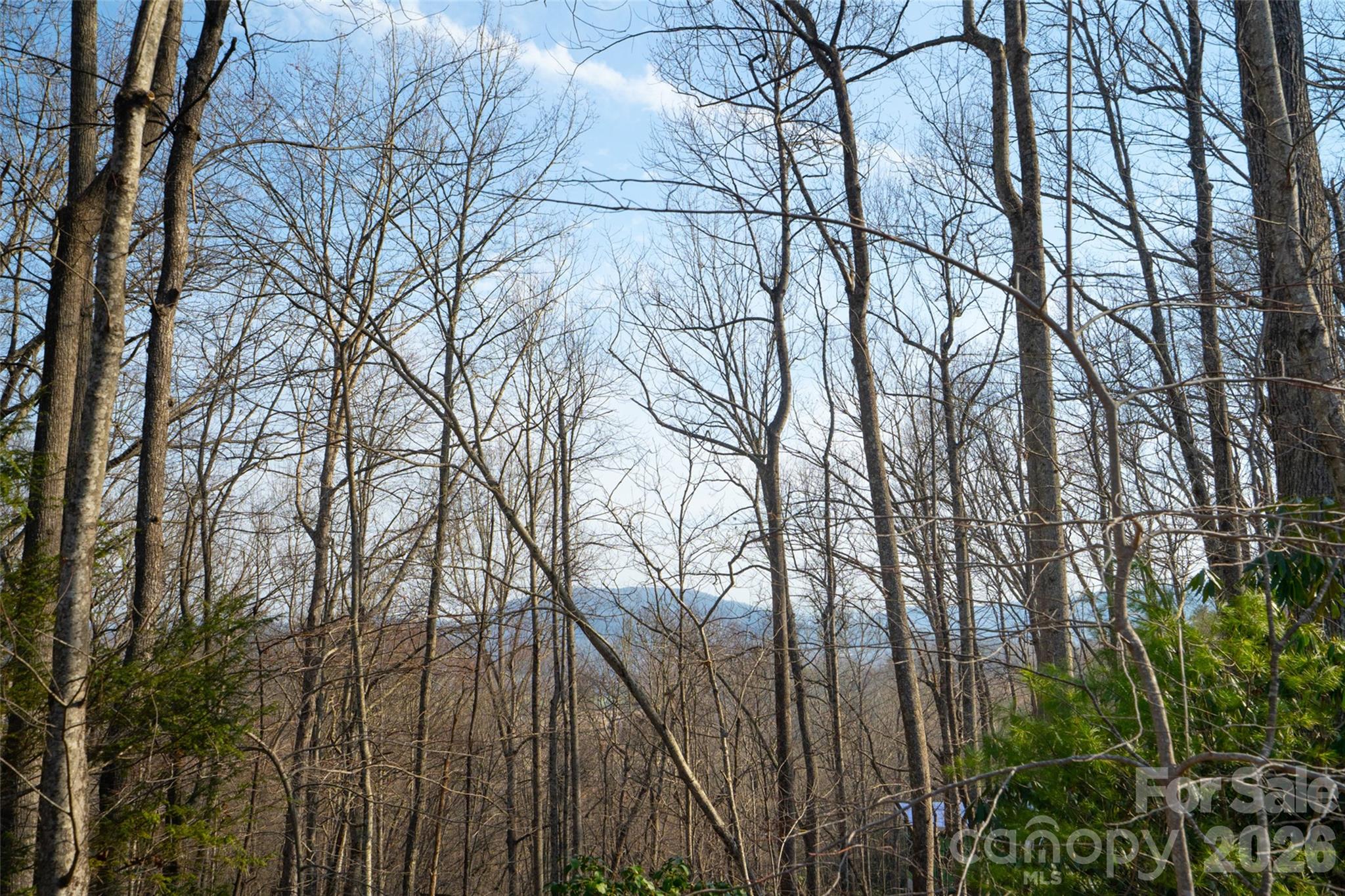 29 Open Ridge Trail Property Photo 11