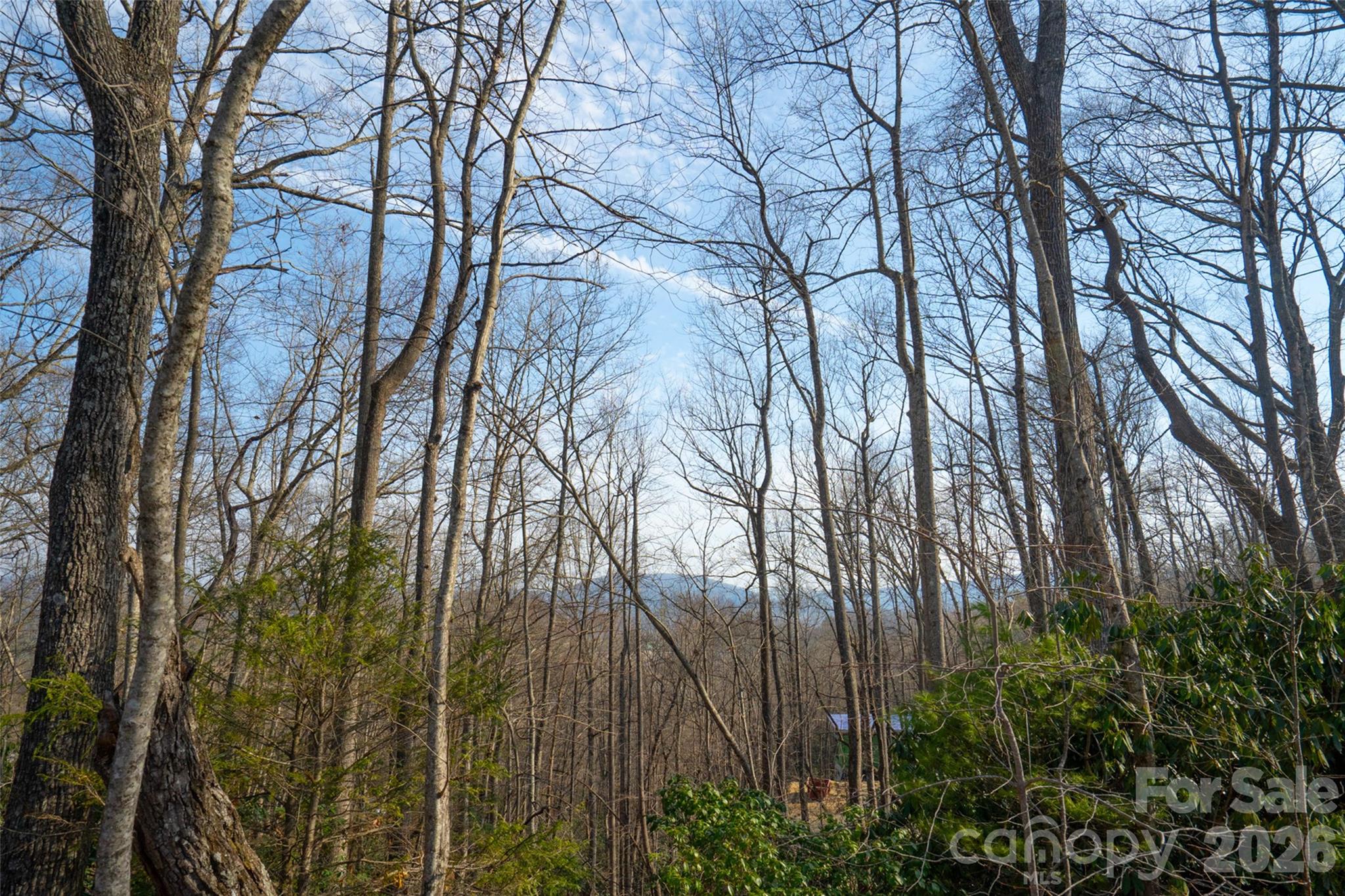 29 Open Ridge Trail Property Photo 12