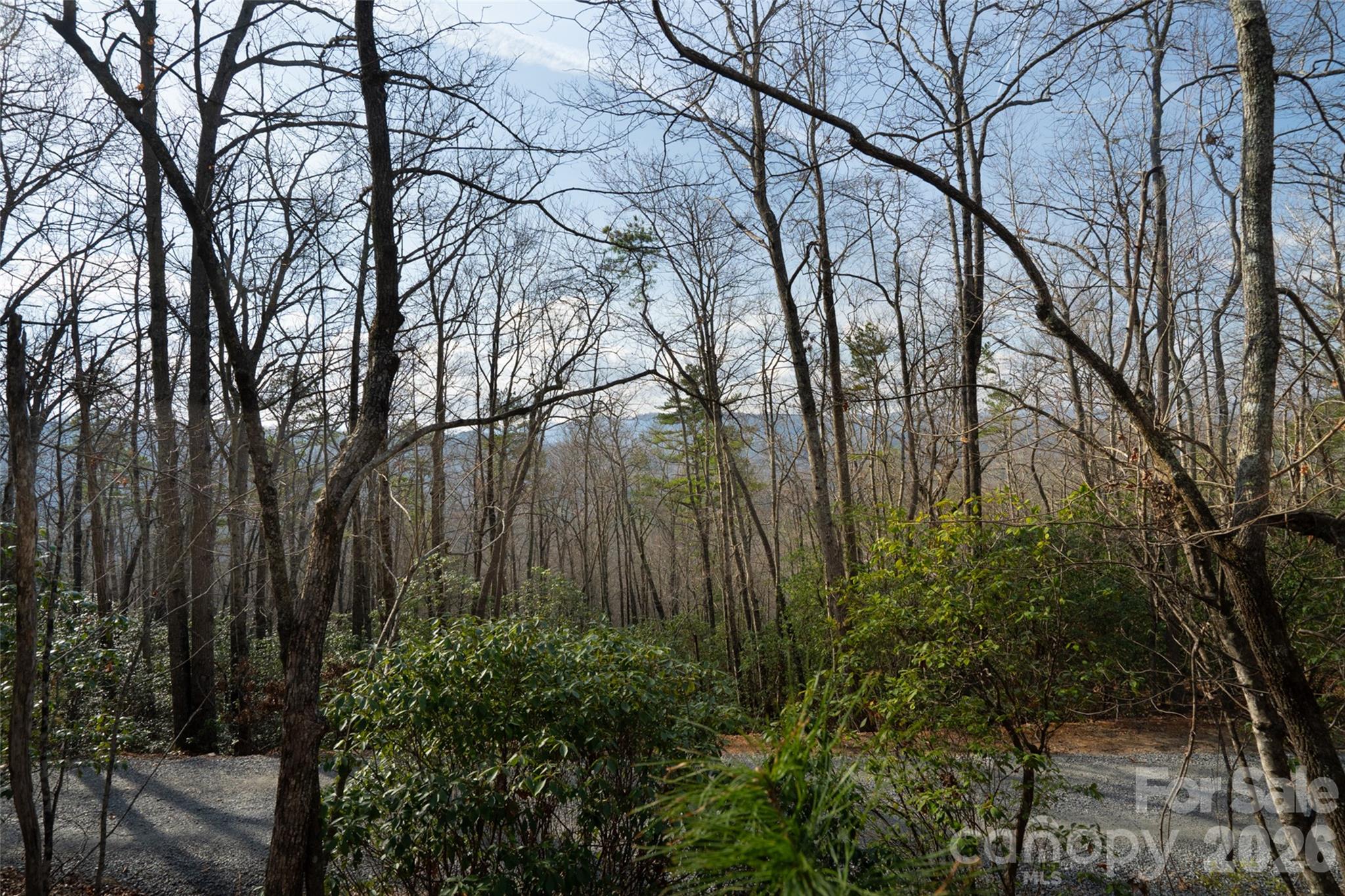 29 Open Ridge Trail Property Photo 13