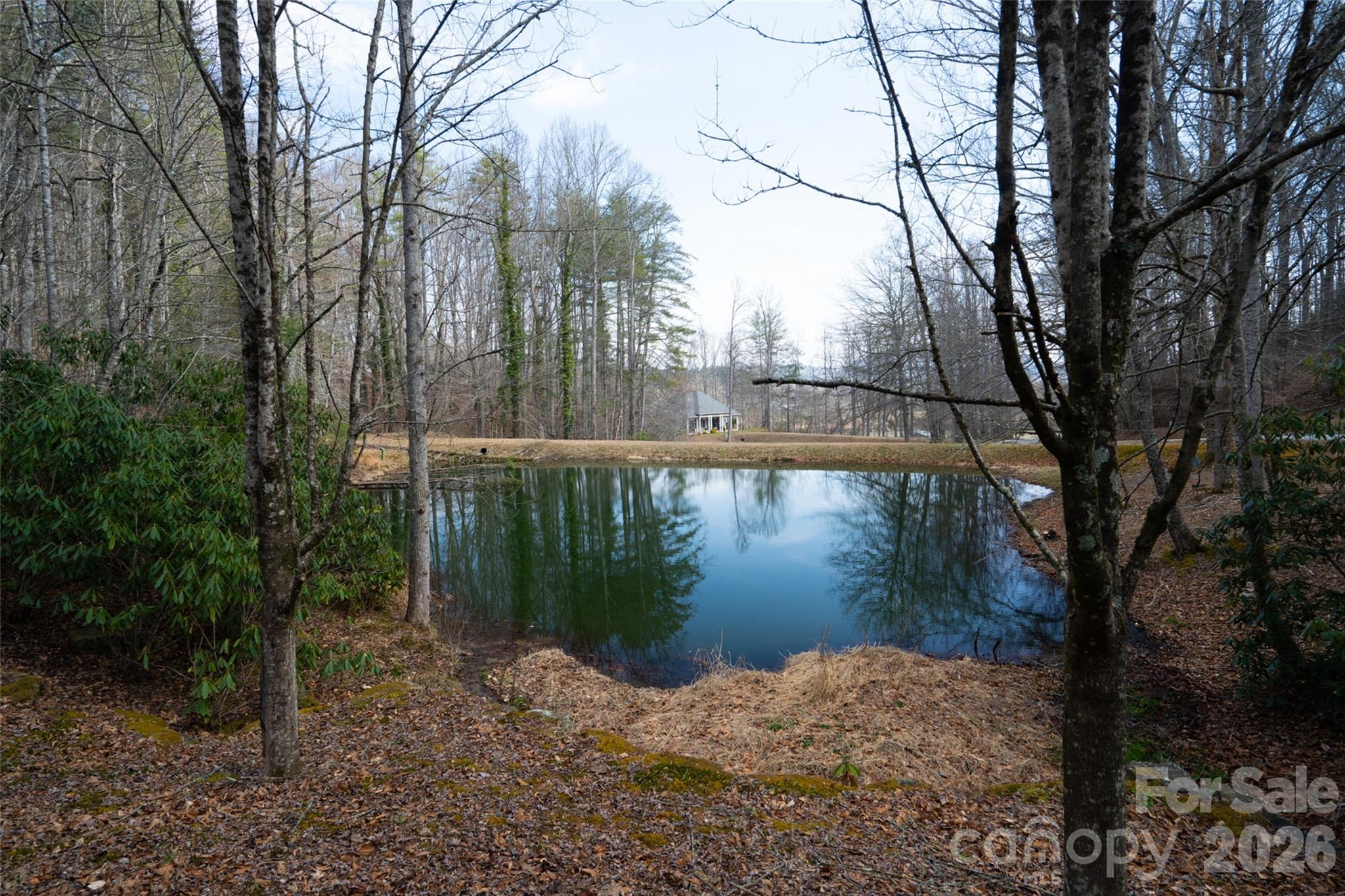 29 Open Ridge Trail Property Photo 16