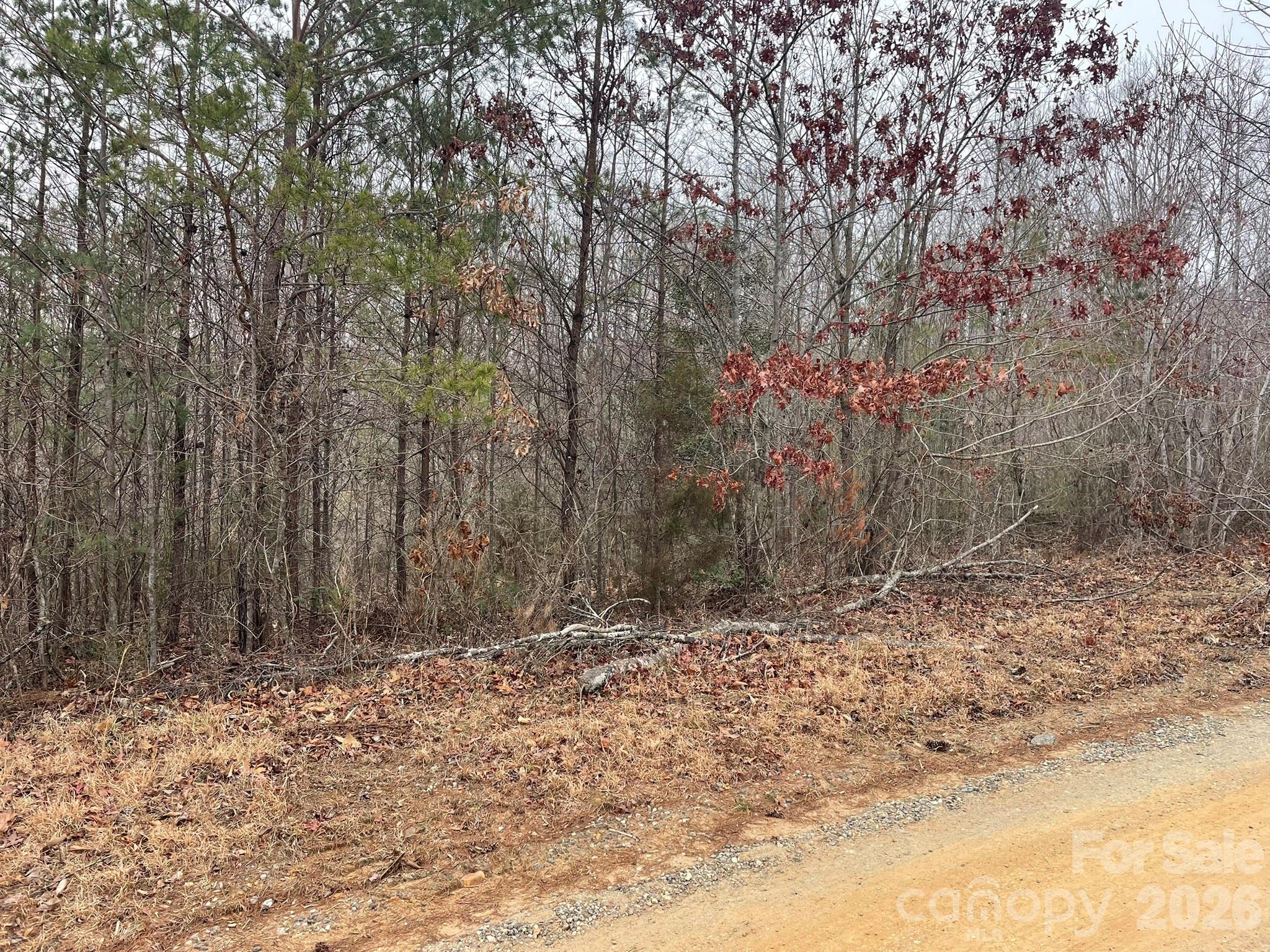 0 Jim Mccall Road Property Photo 4