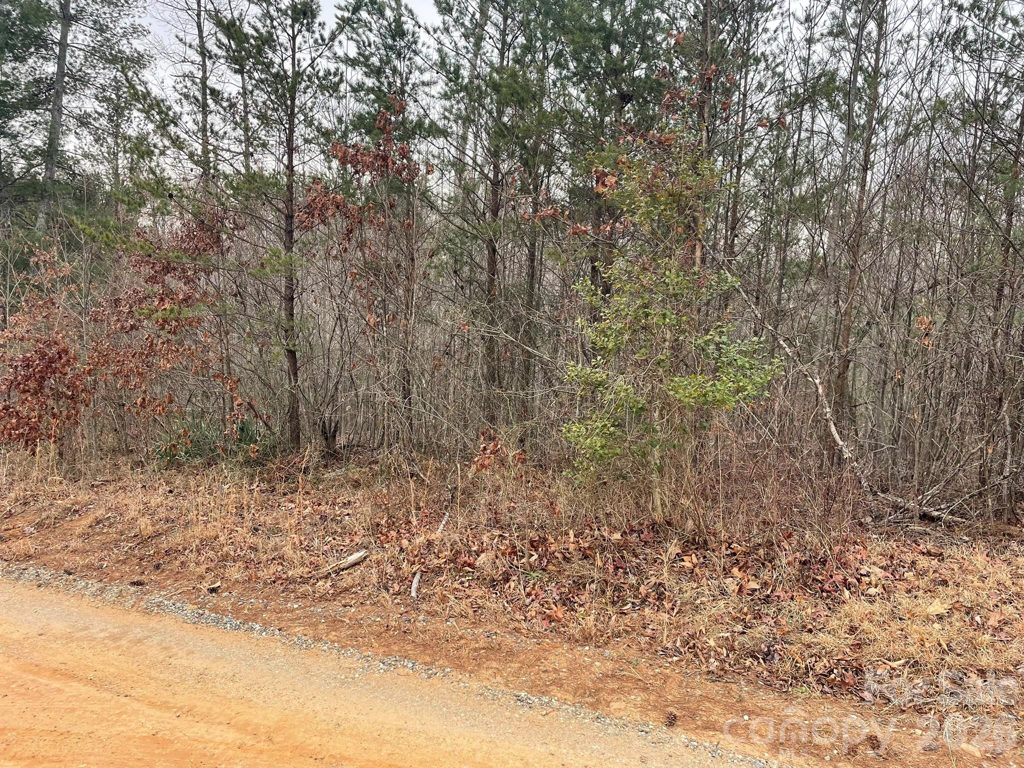 0 Jim Mccall Road Property Photo 5
