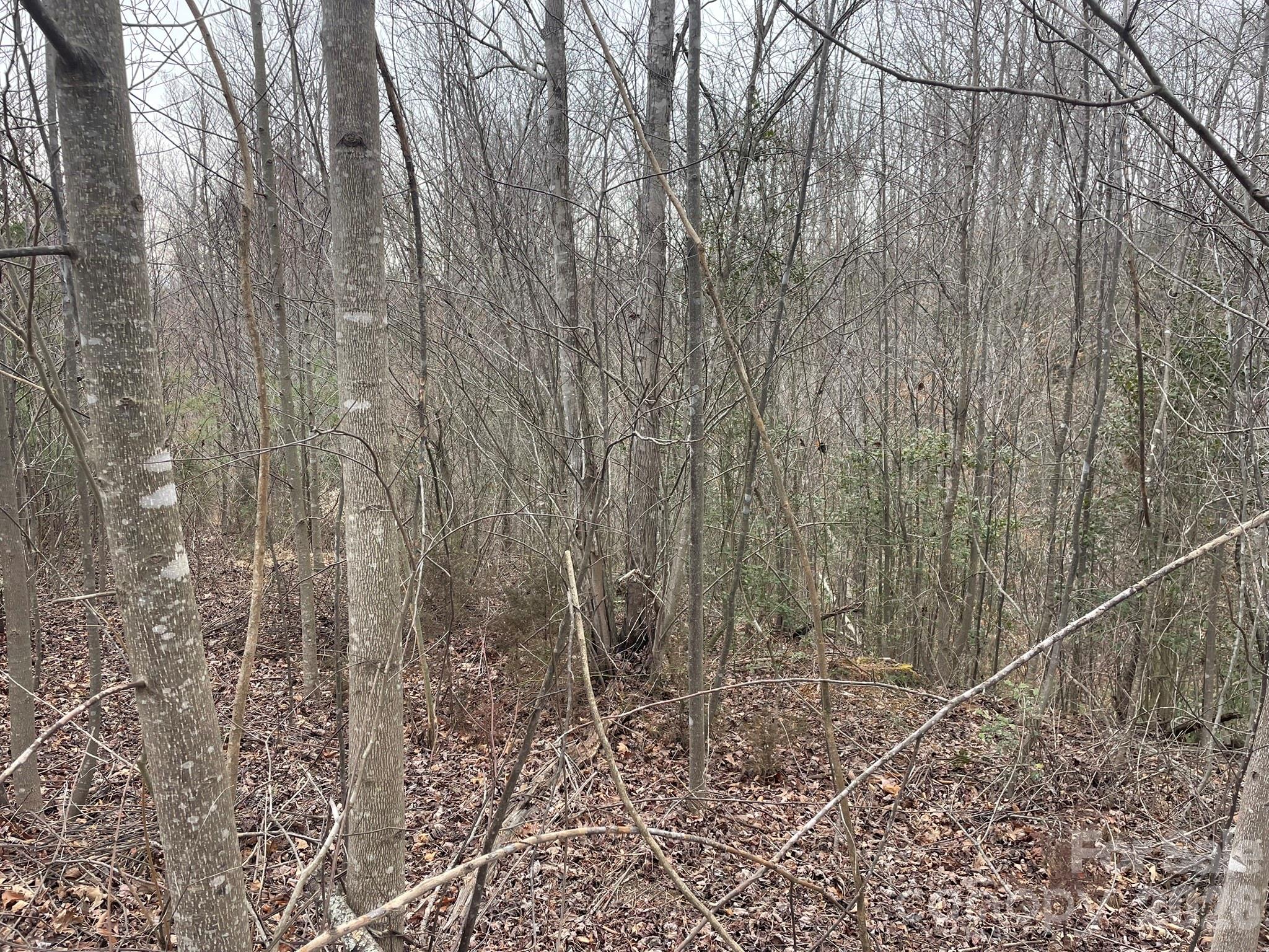 0 Jim Mccall Road Property Photo 6