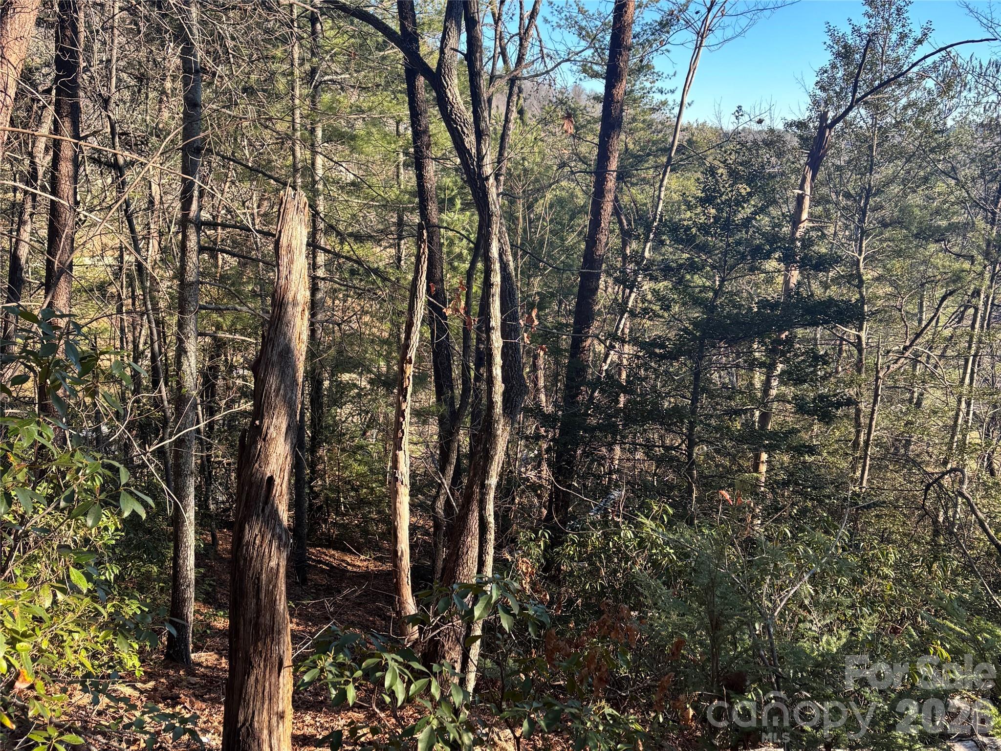 Lot 20 Nicklaus Lane Property Photo 1