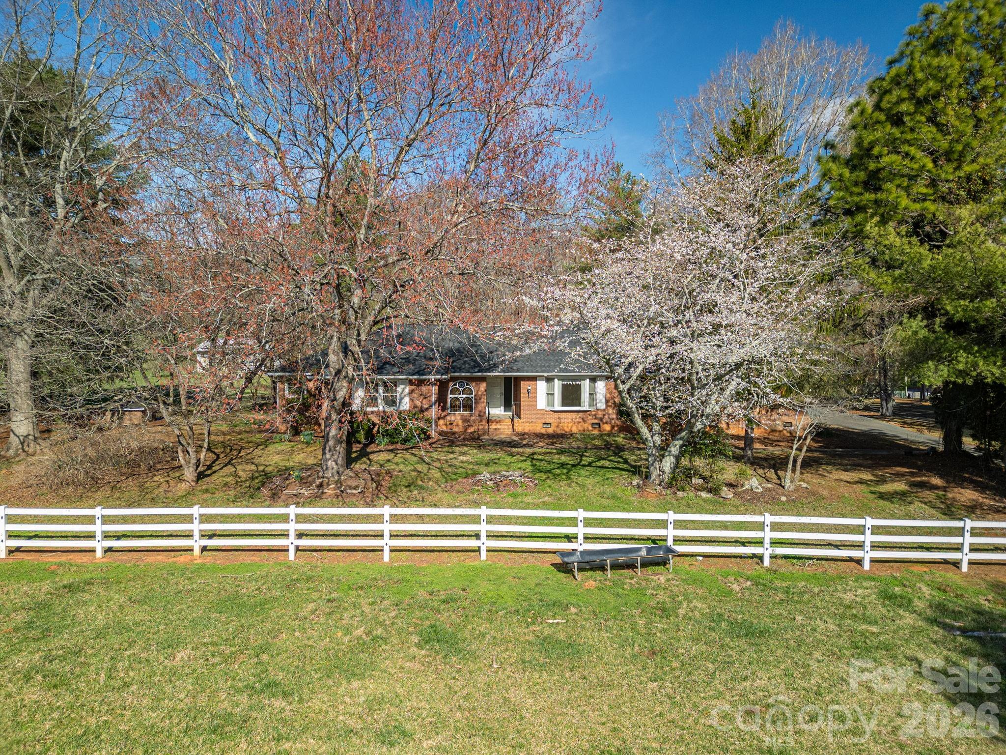 221 Lee Black Road Property Photo 7