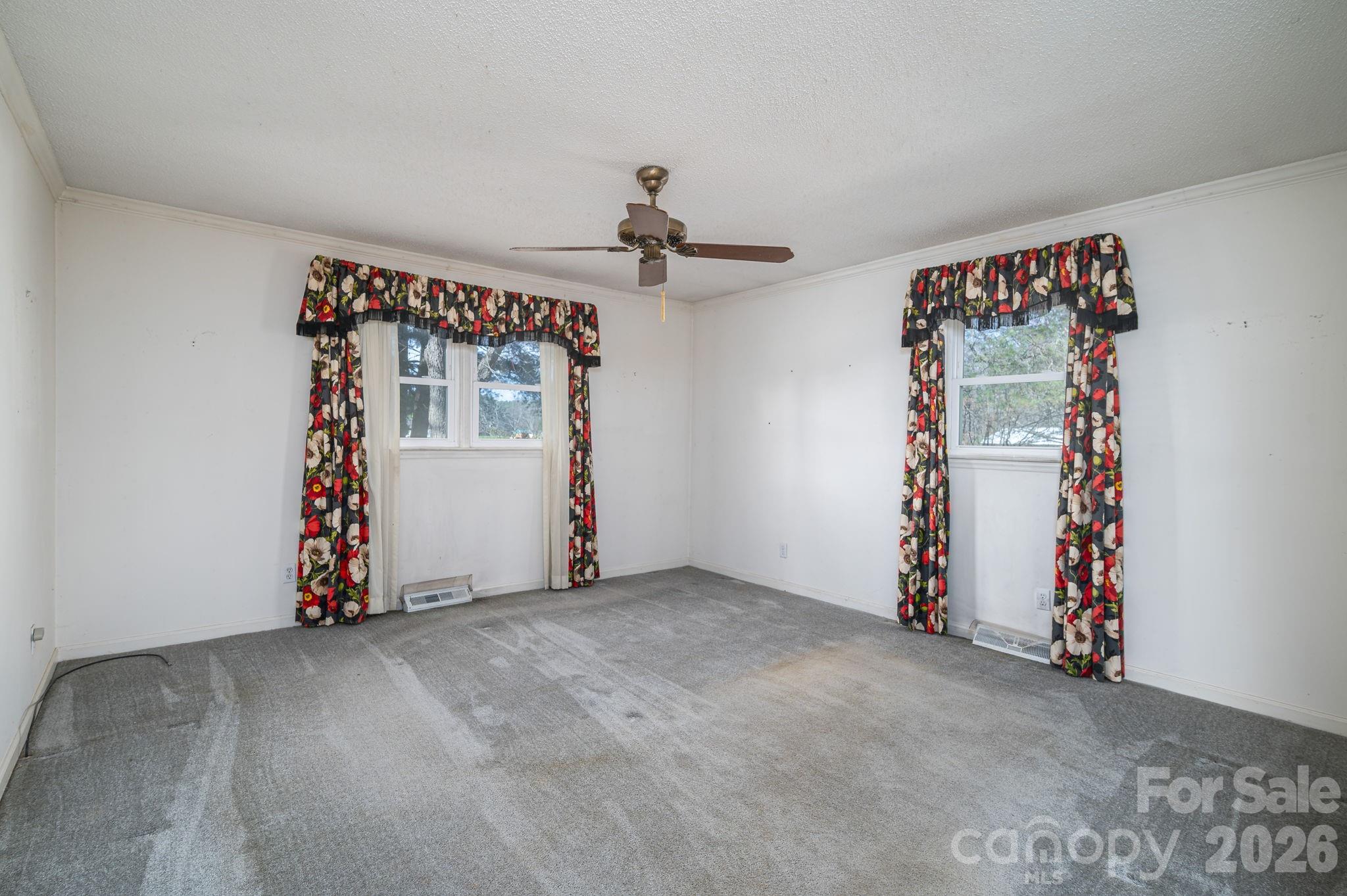 221 Lee Black Road Property Photo 21