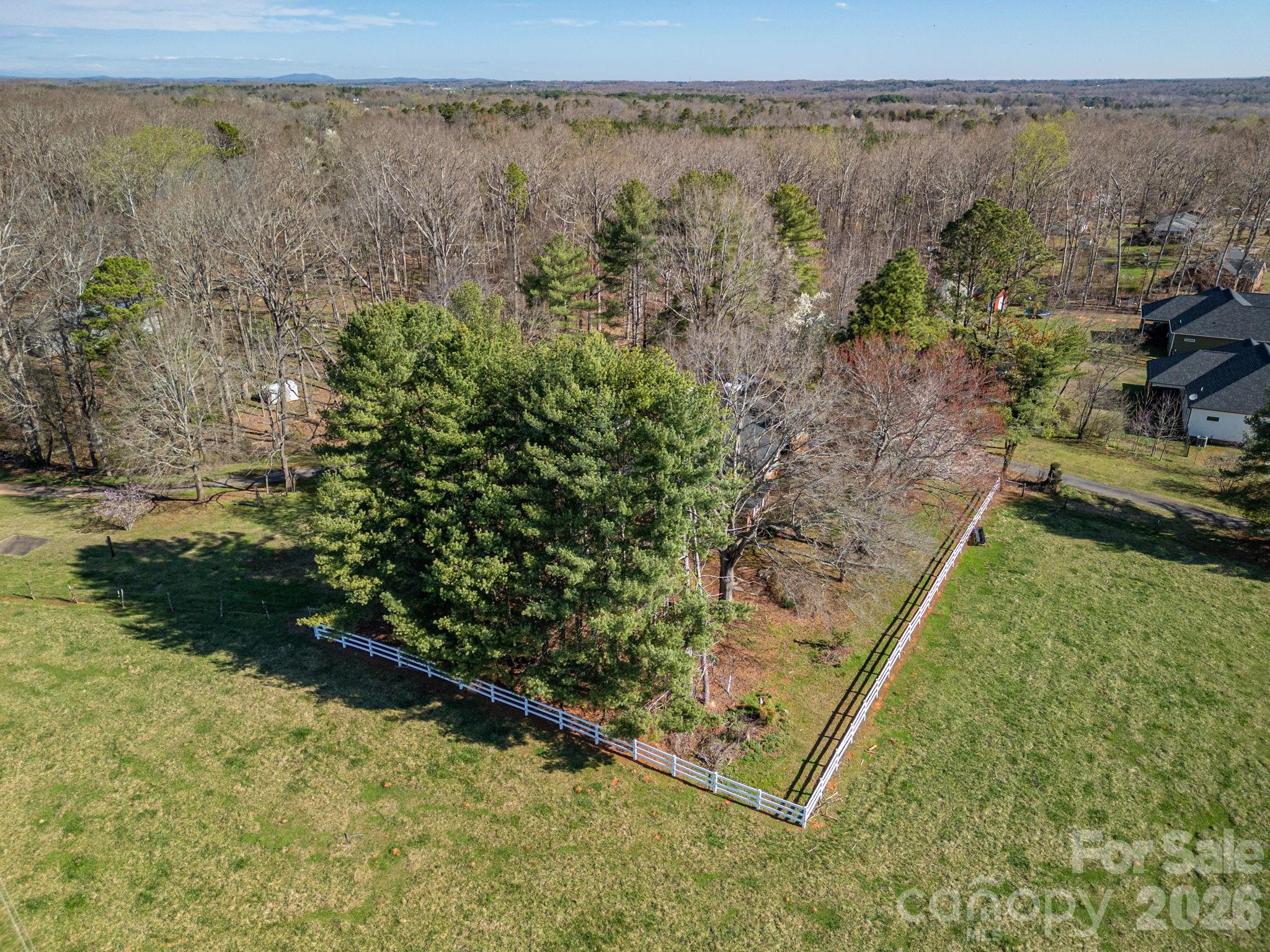 221 Lee Black Road Property Photo 35