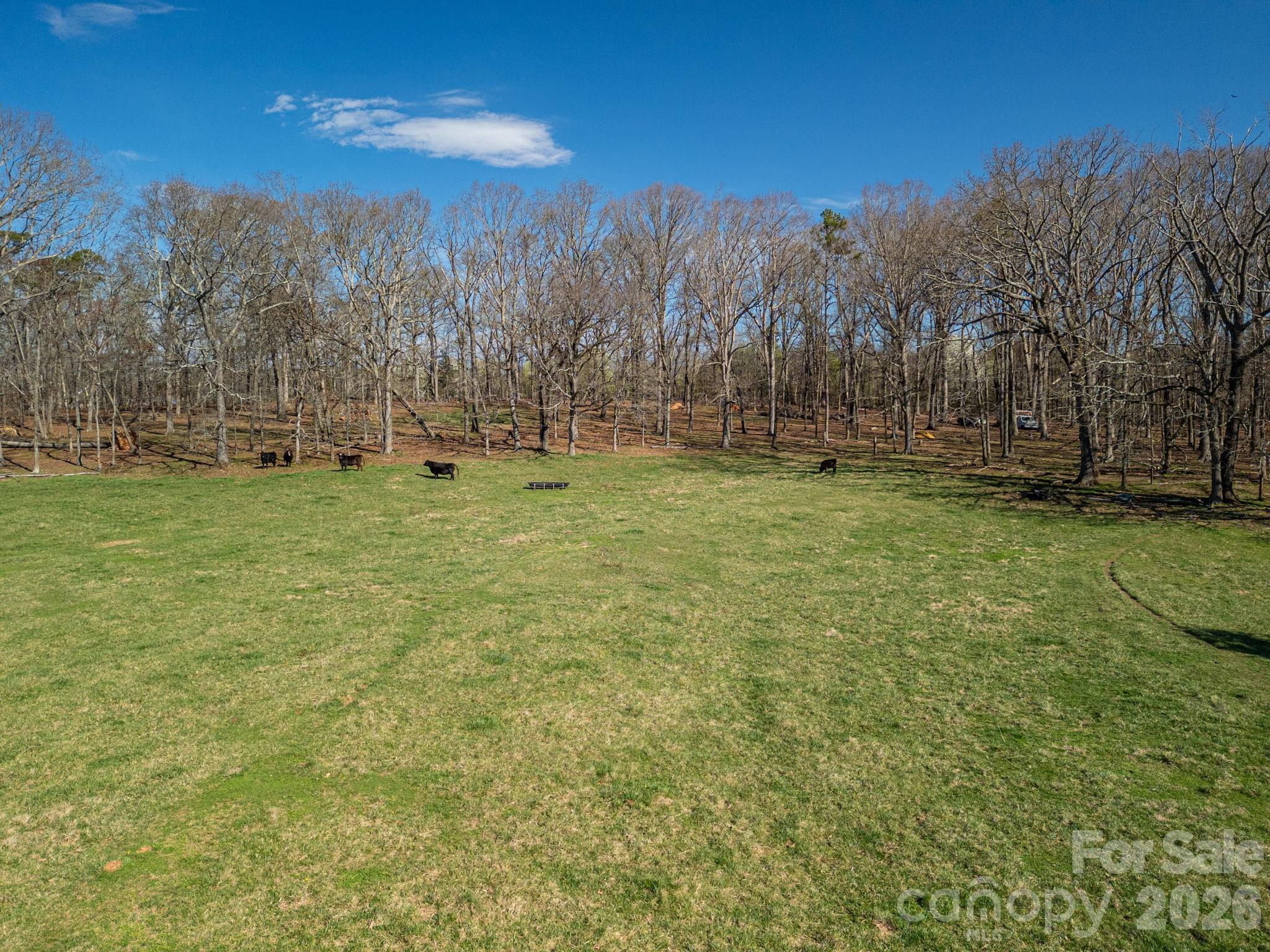 221 Lee Black Road Property Photo 38