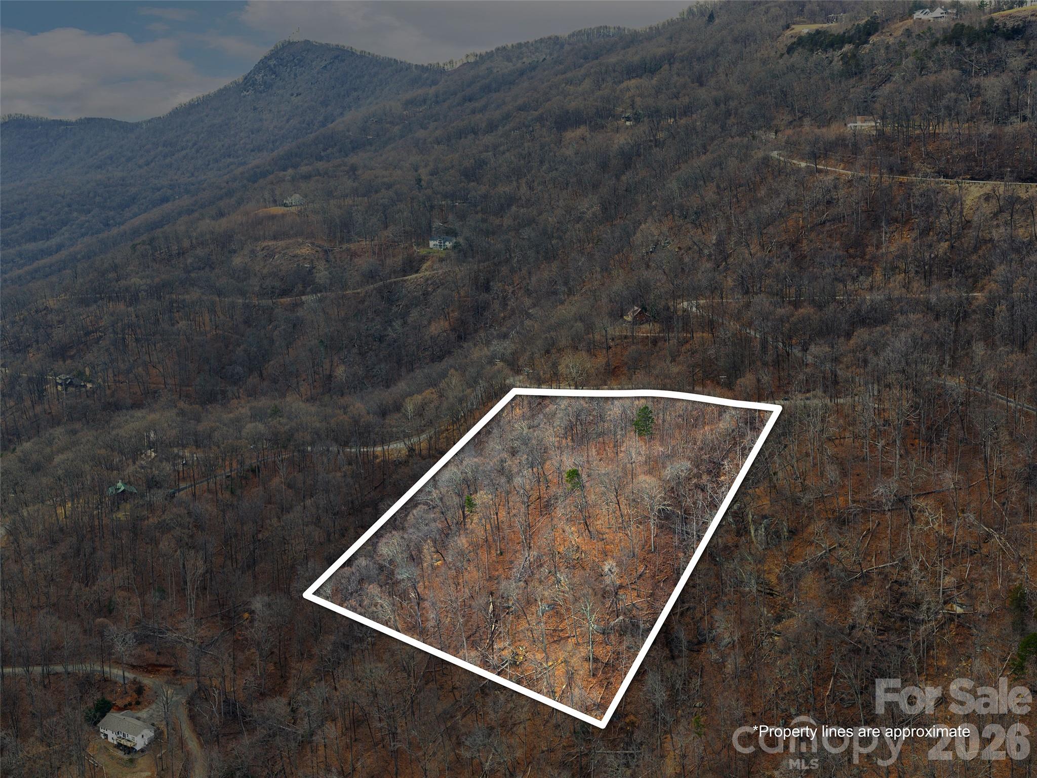 Lot 56 White Oak Mountain Road 56 Property Photo 5