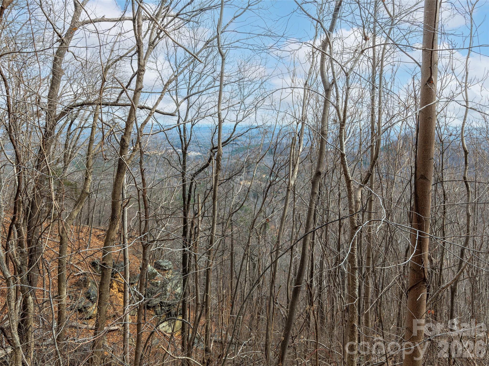 Lot 56 White Oak Mountain Road 56 Property Photo 6