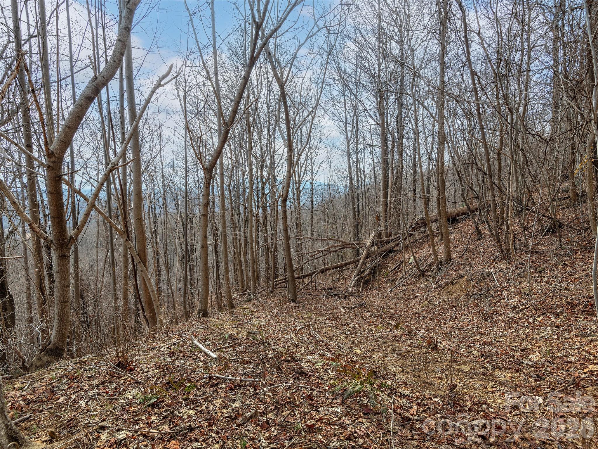 Lot 56 White Oak Mountain Road 56 Property Photo 7