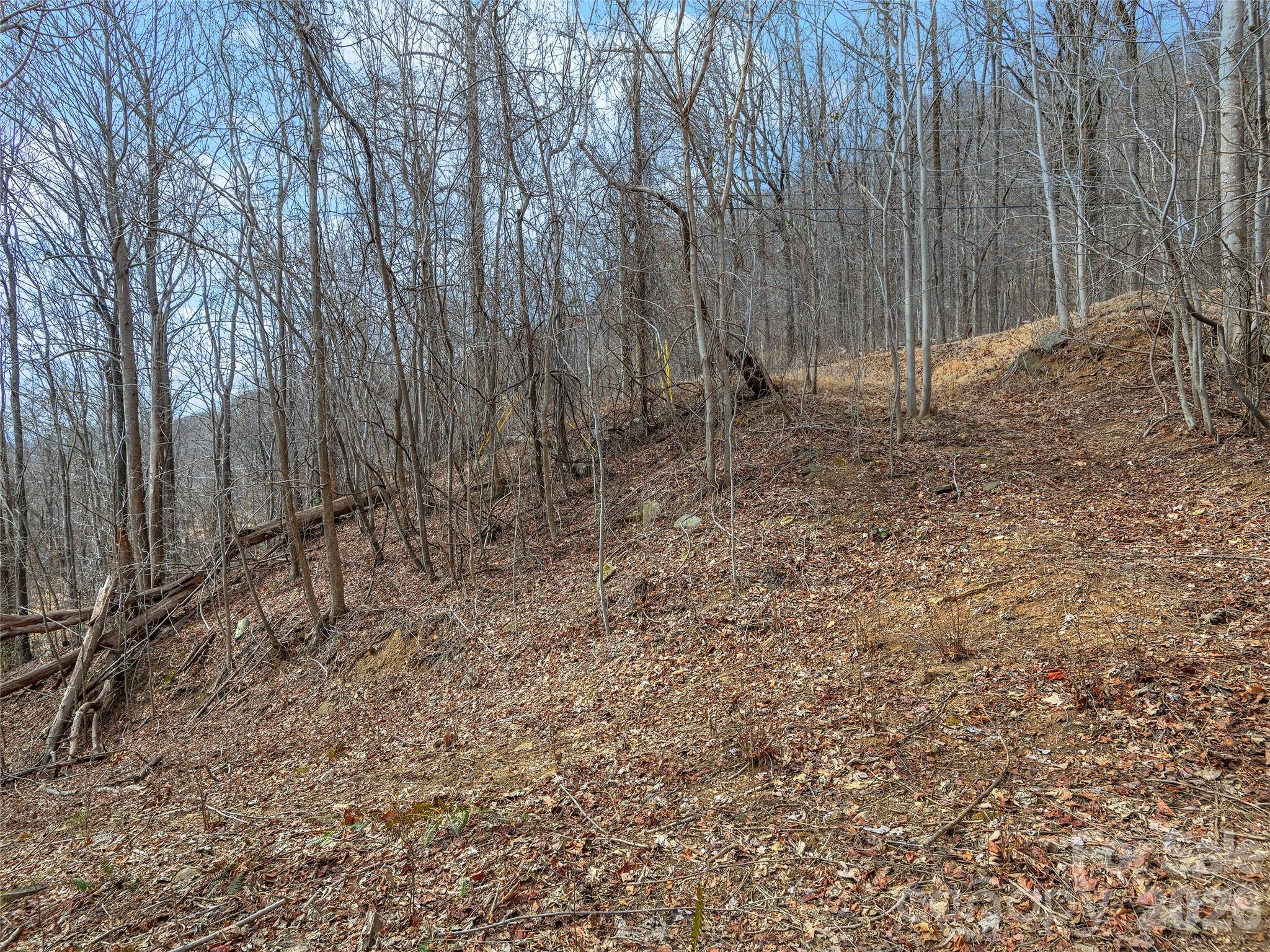 Lot 56 White Oak Mountain Road 56 Property Photo 8