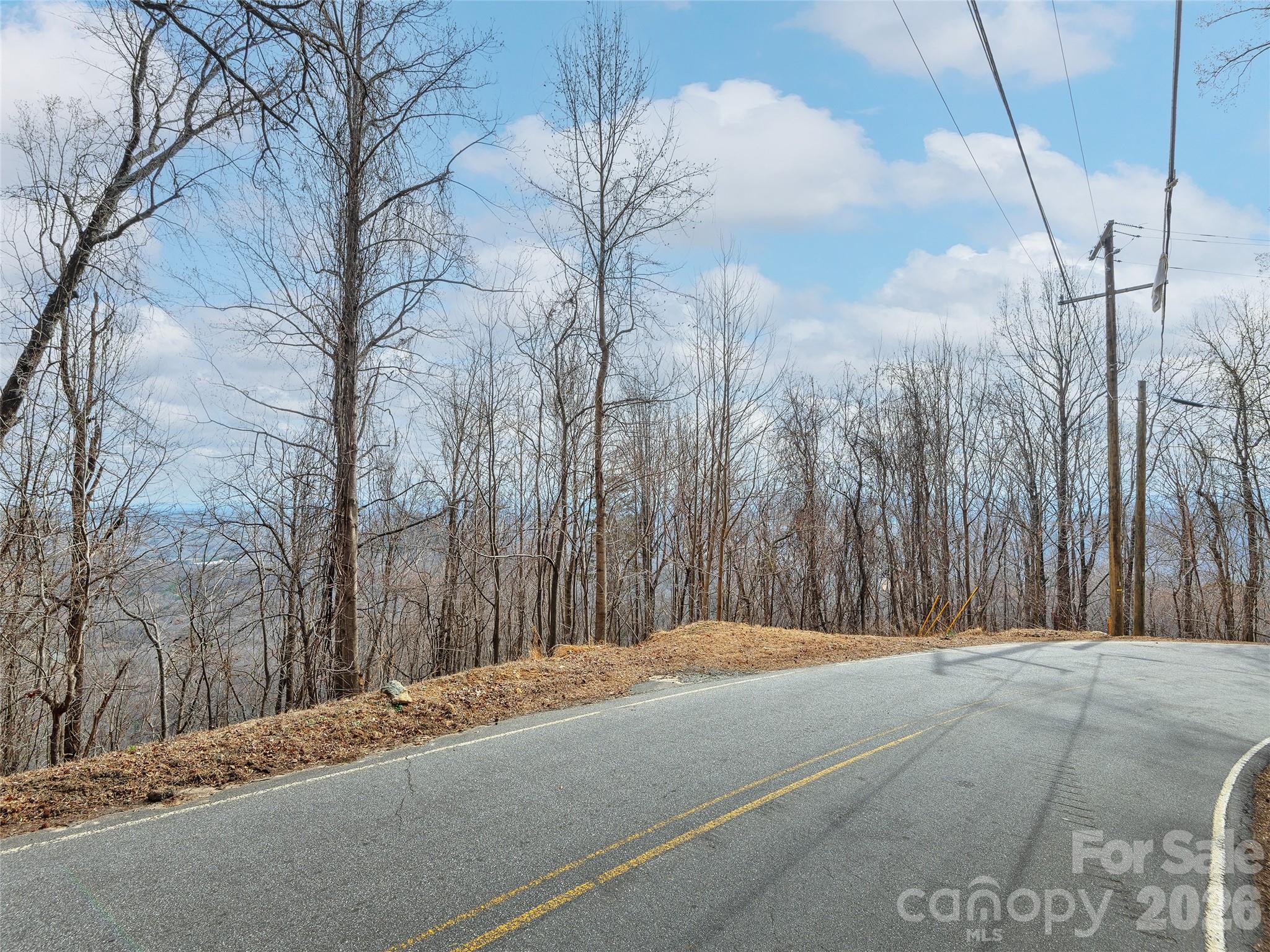 Lot 56 White Oak Mountain Road 56 Property Photo 10