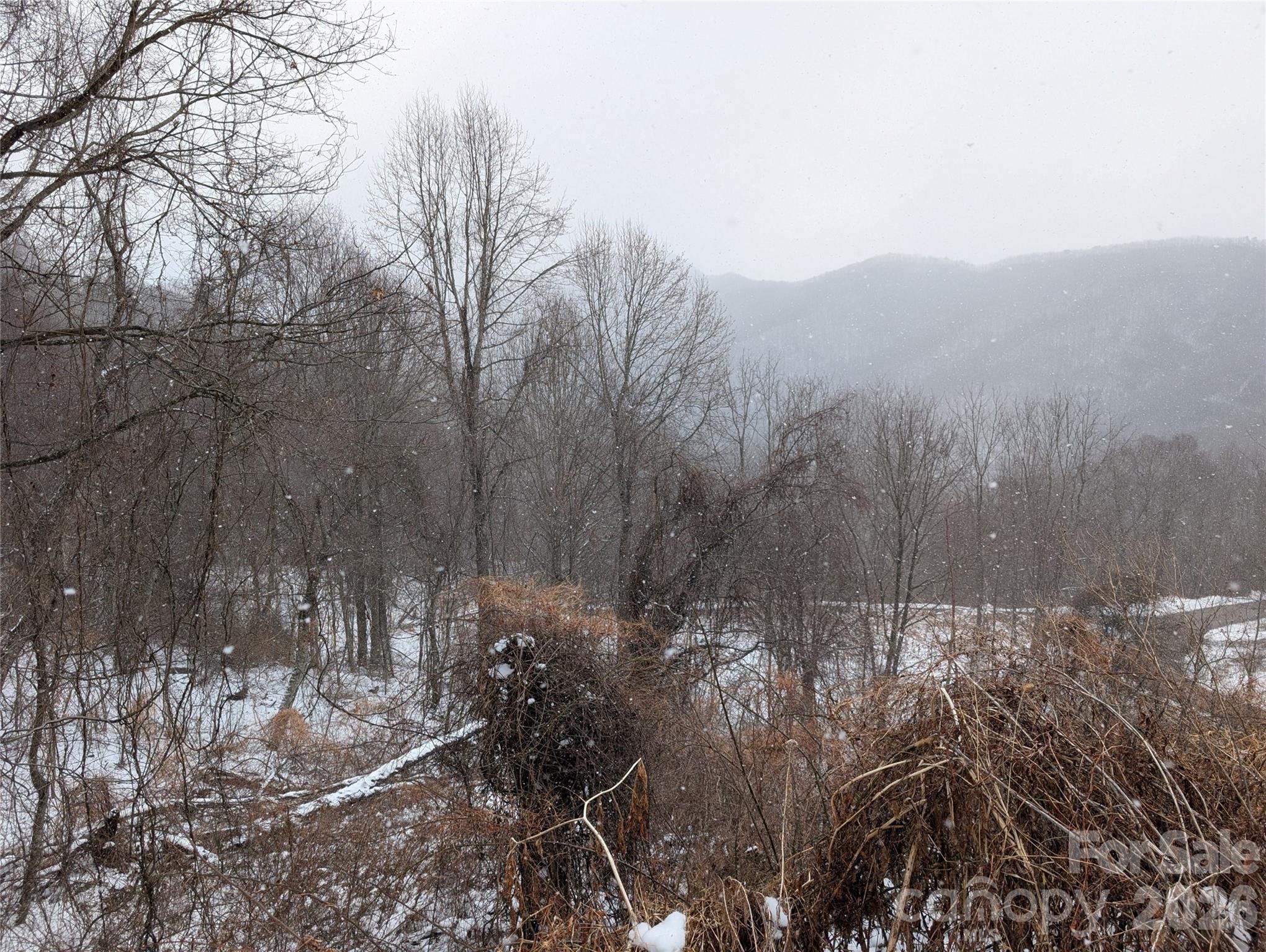 00 Bear Wallow Trail Property Photo 6