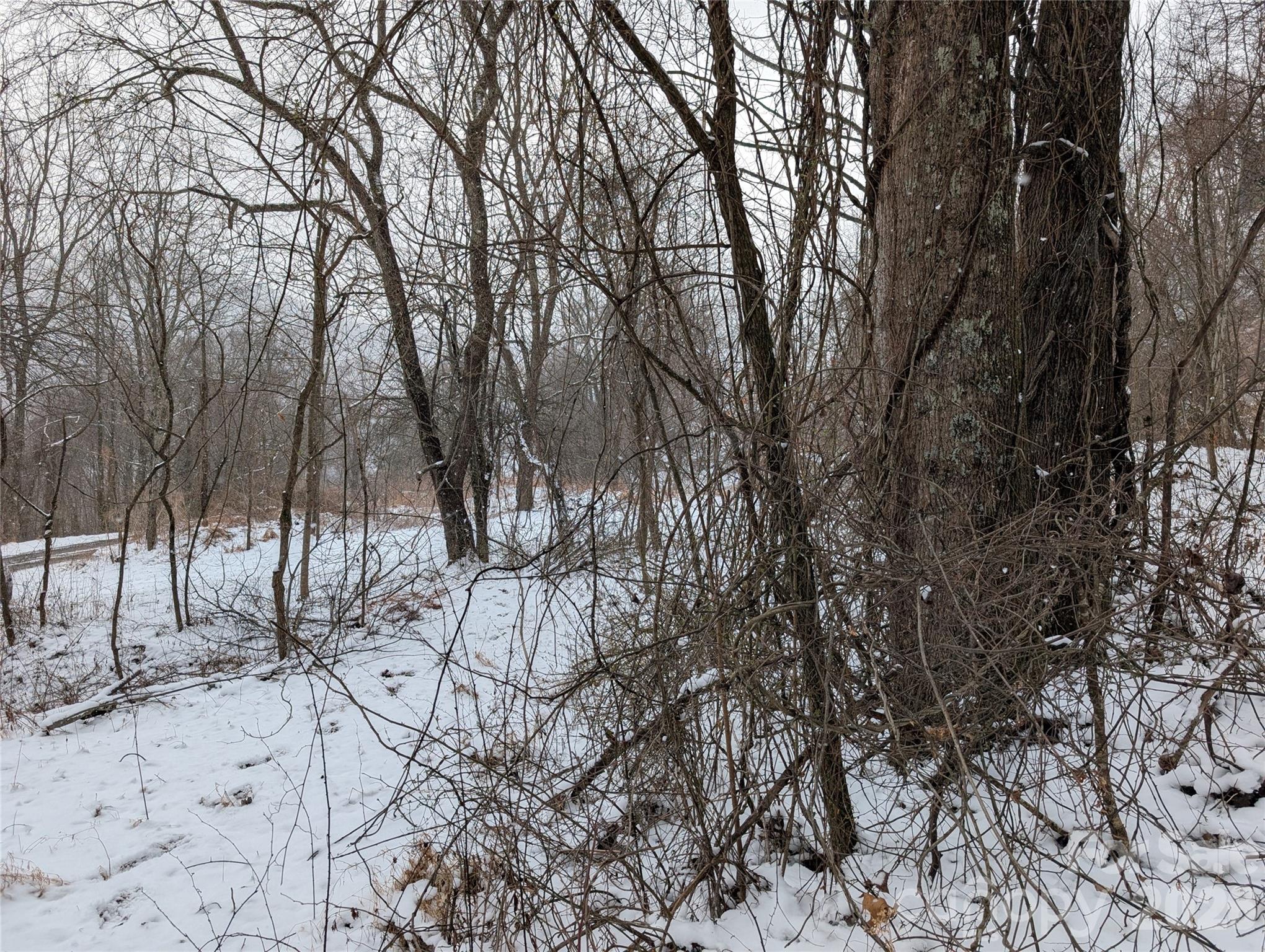 00 Bear Wallow Trail Property Photo 8
