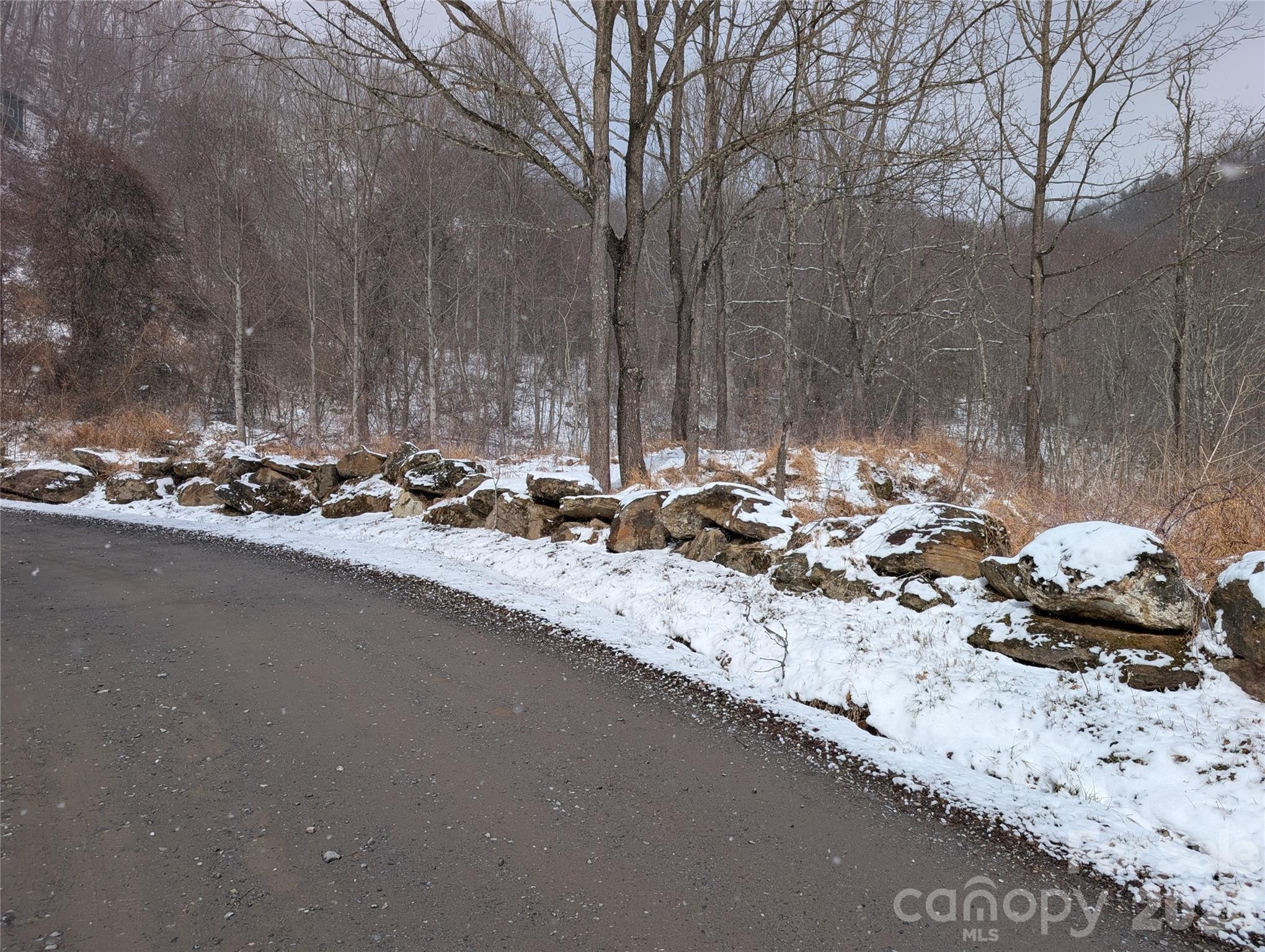 00 Bear Wallow Trail Property Photo 10