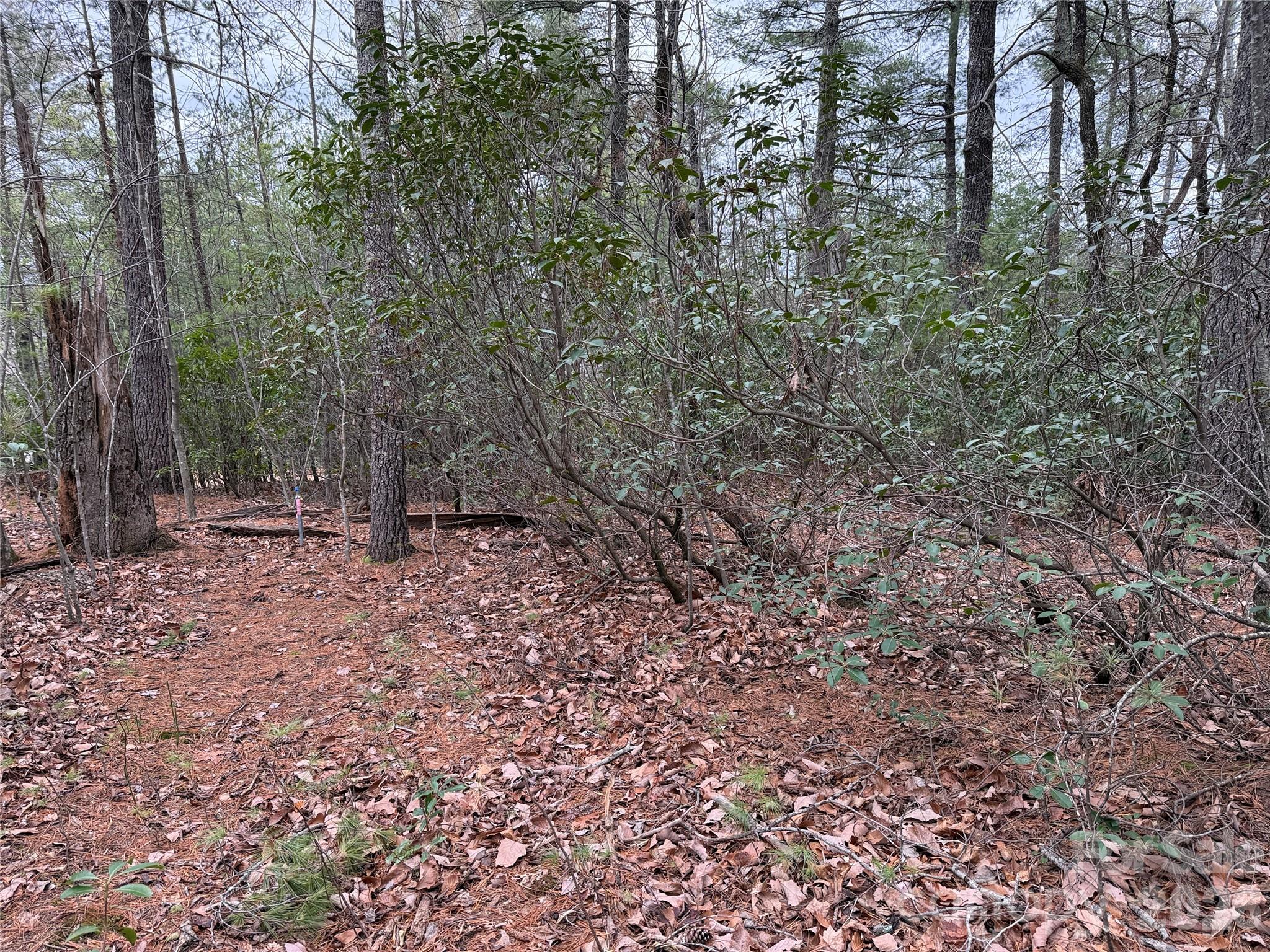 Tbd Deer Antler Drive 82 Property Photo 11
